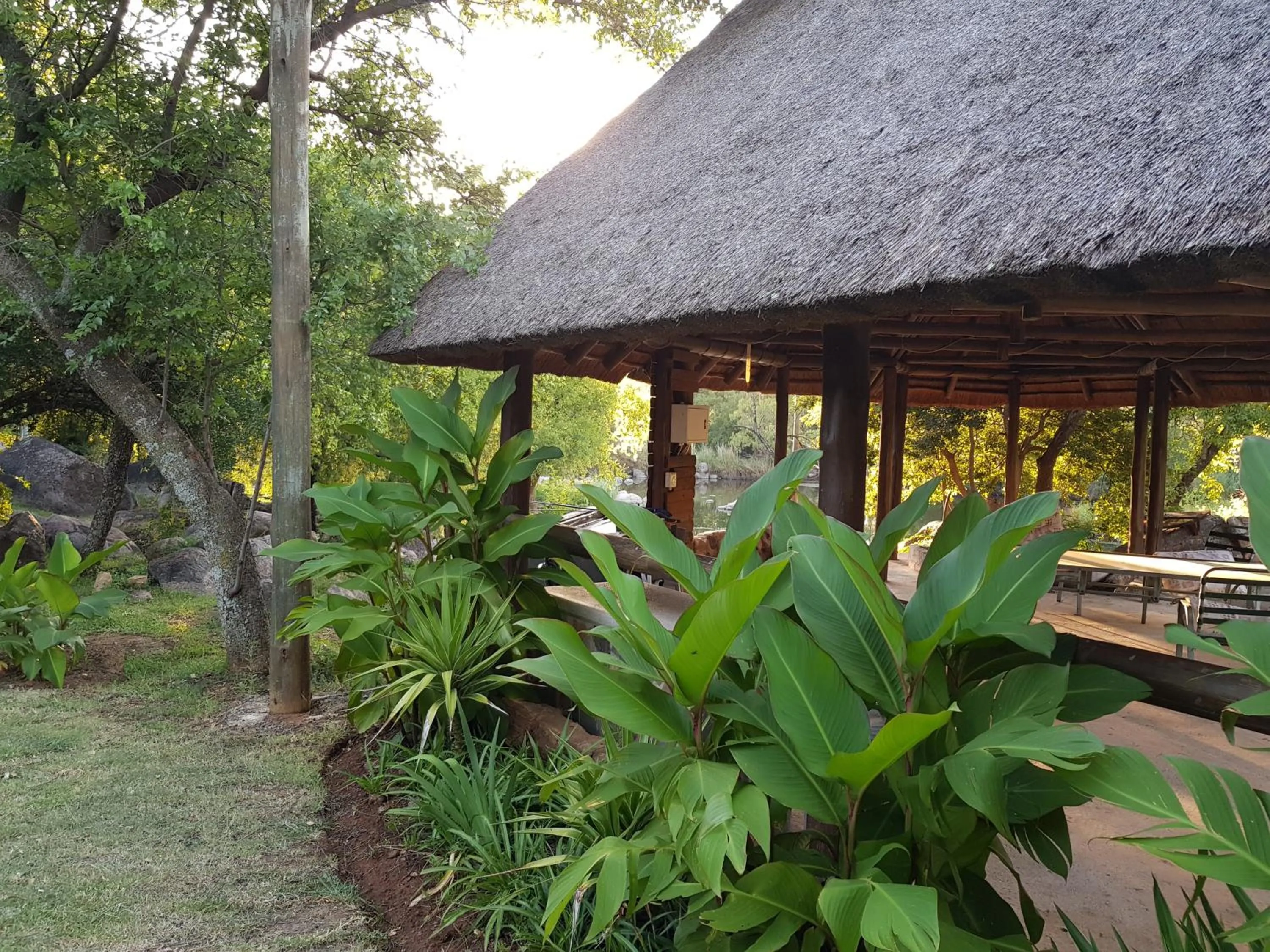 Natural landscape in River Rock Lodge