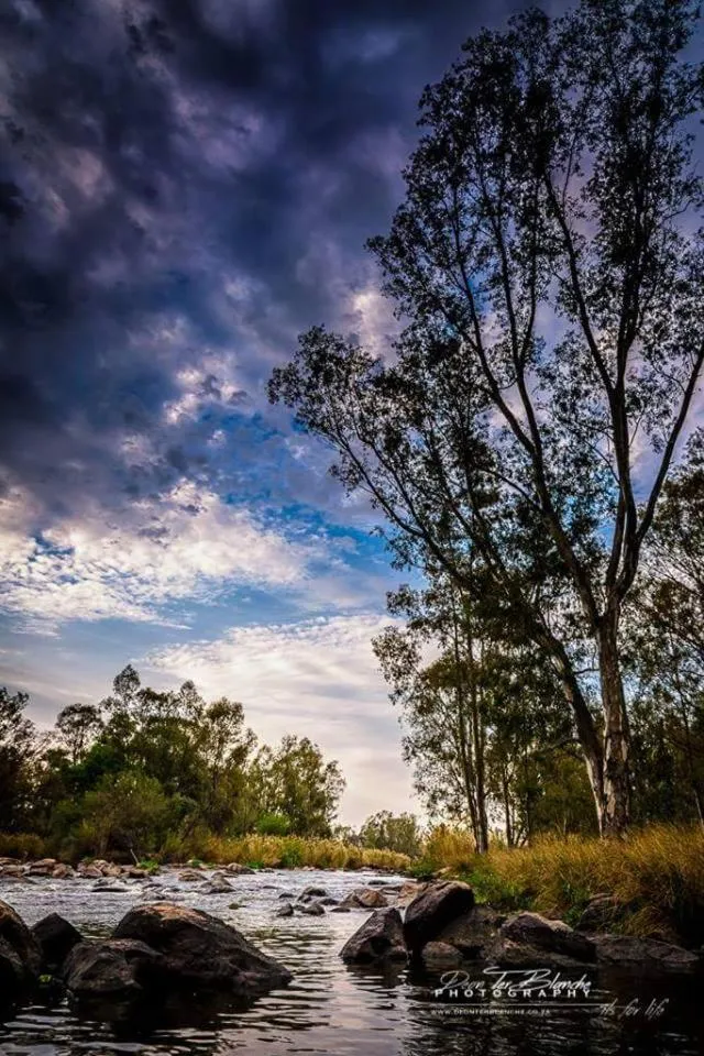 River view in River Rock Lodge