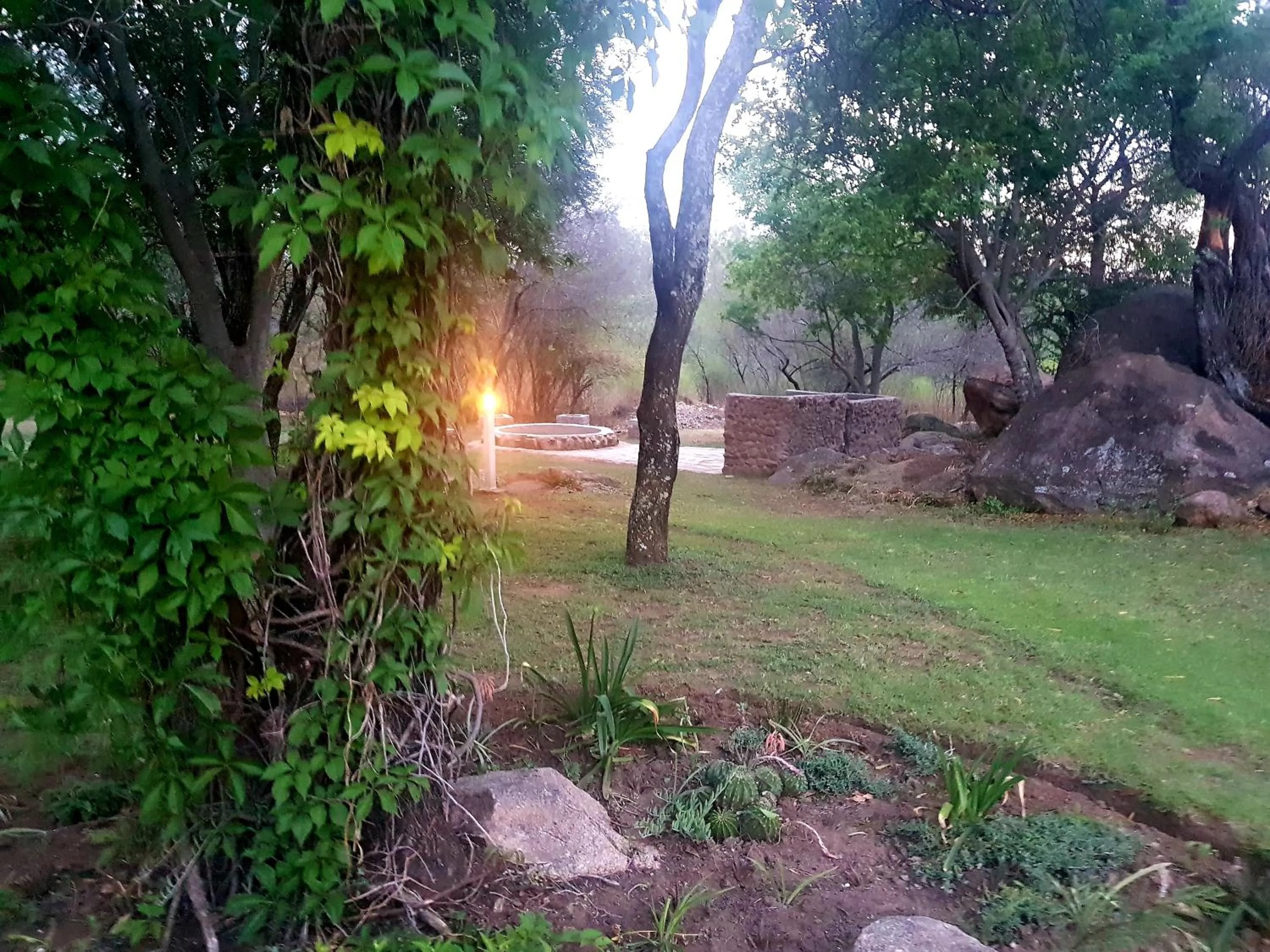 Garden view in River Rock Lodge