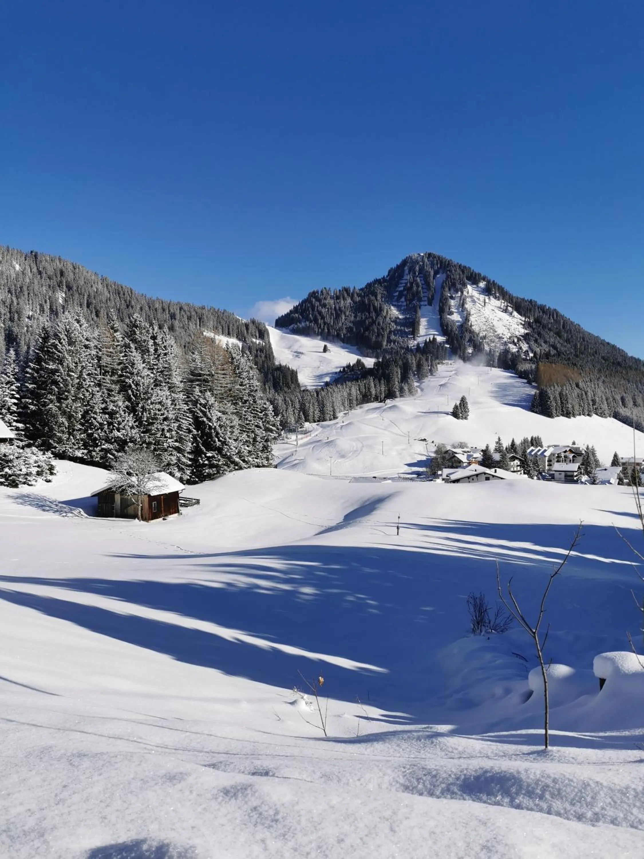 Natural landscape in Haus Steinkarblick und Berghäusl