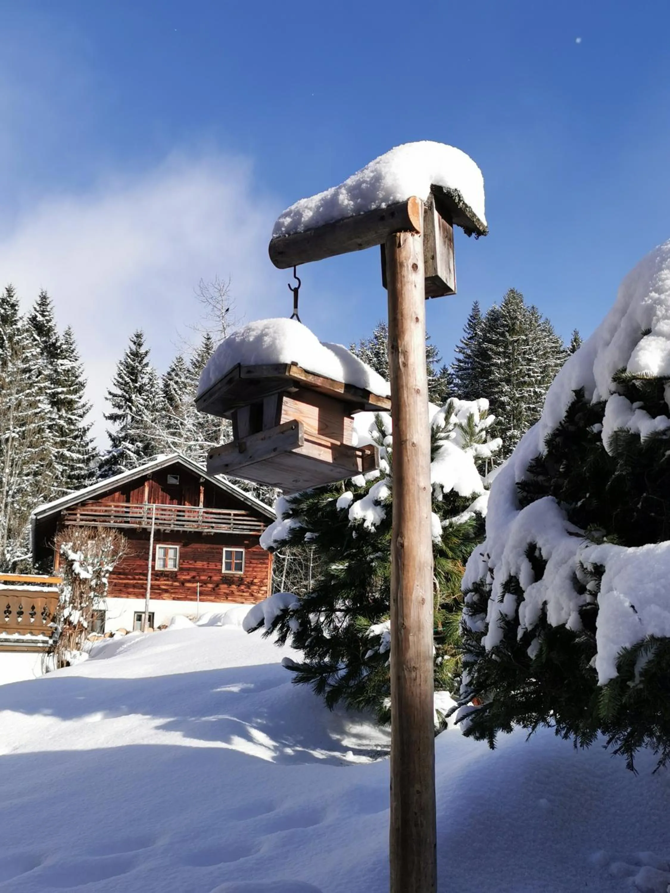 Natural landscape in Haus Steinkarblick und Berghäusl