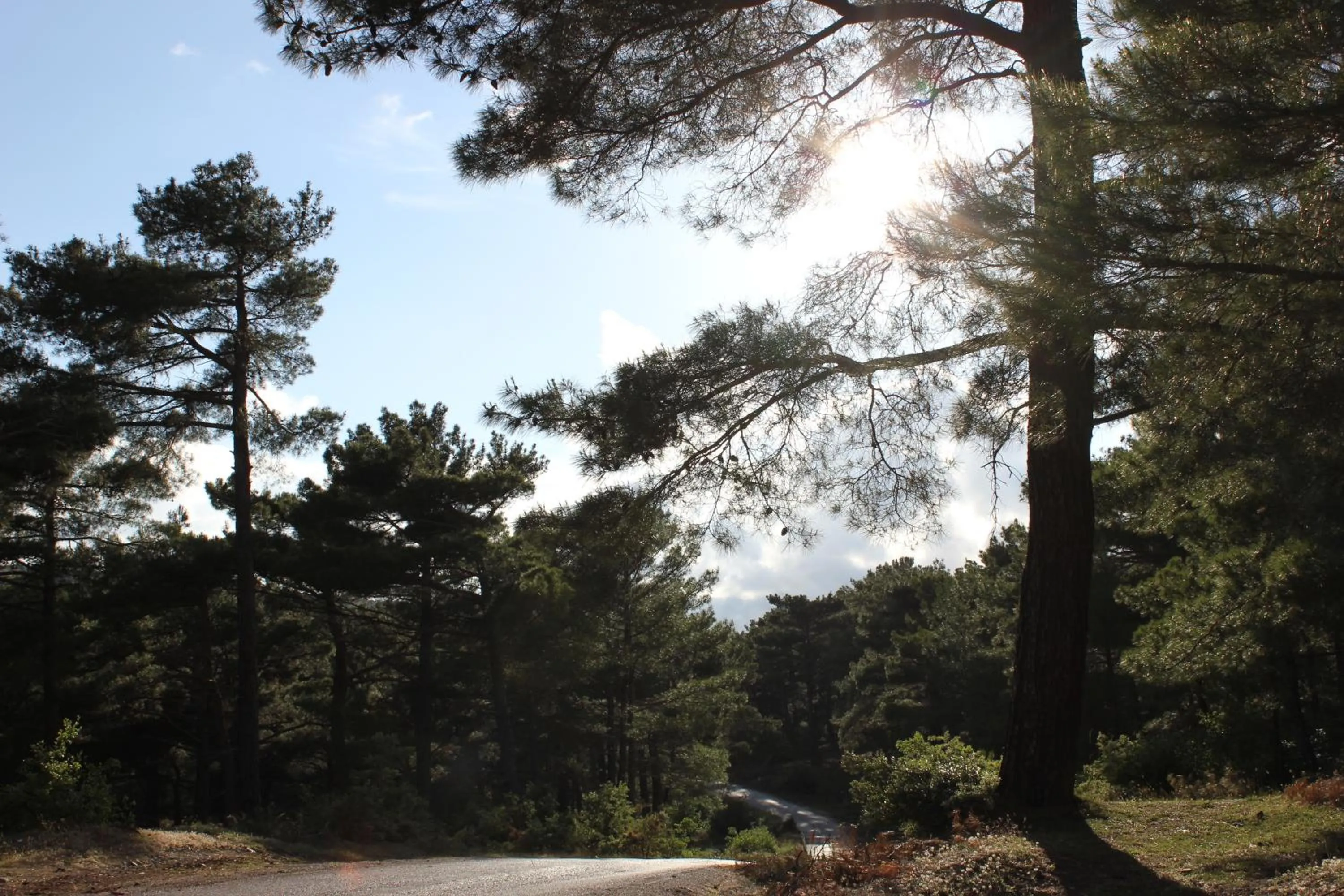 Other in Assos Kartal Yuvasi Hotel