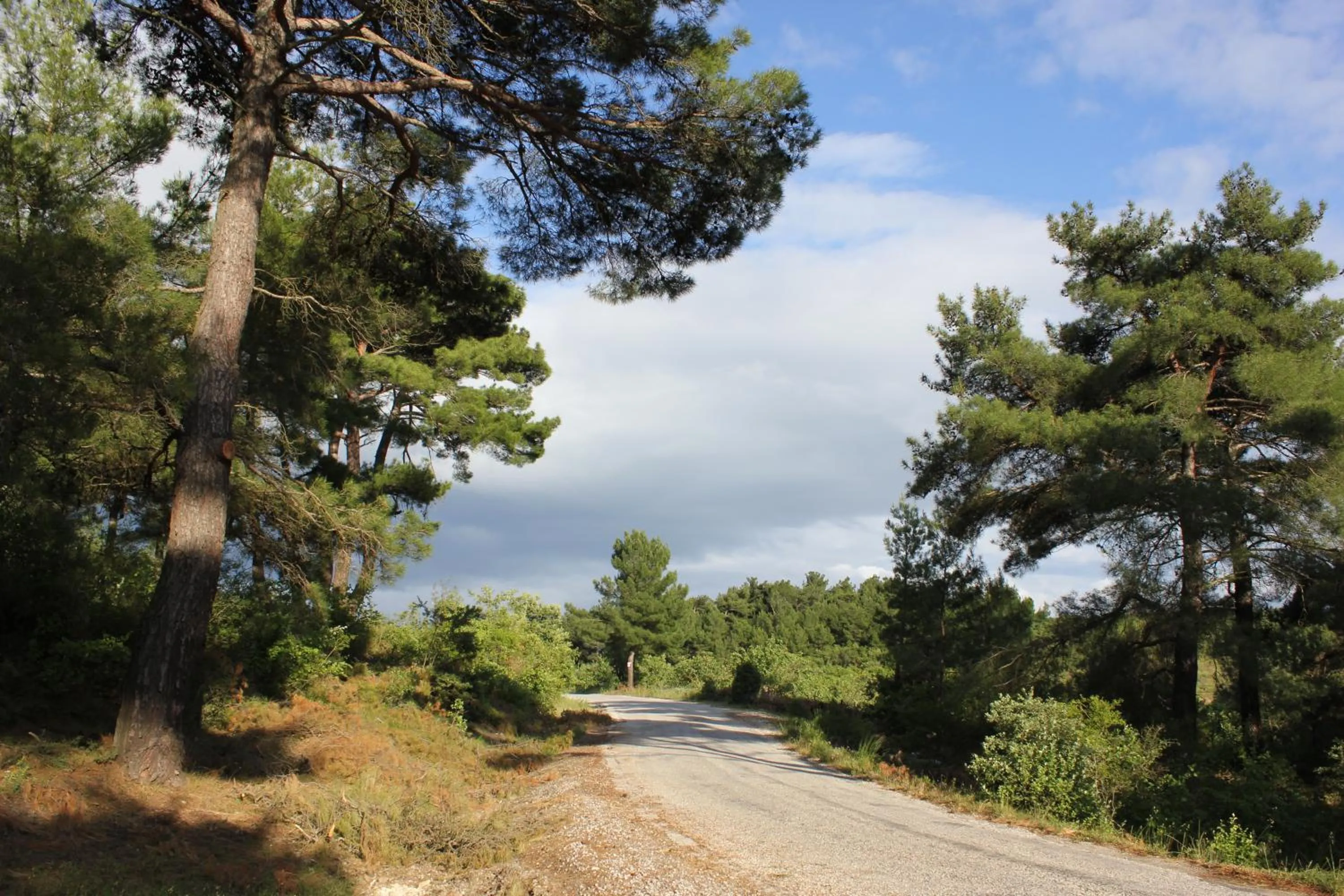 Spring in Assos Kartal Yuvasi Hotel