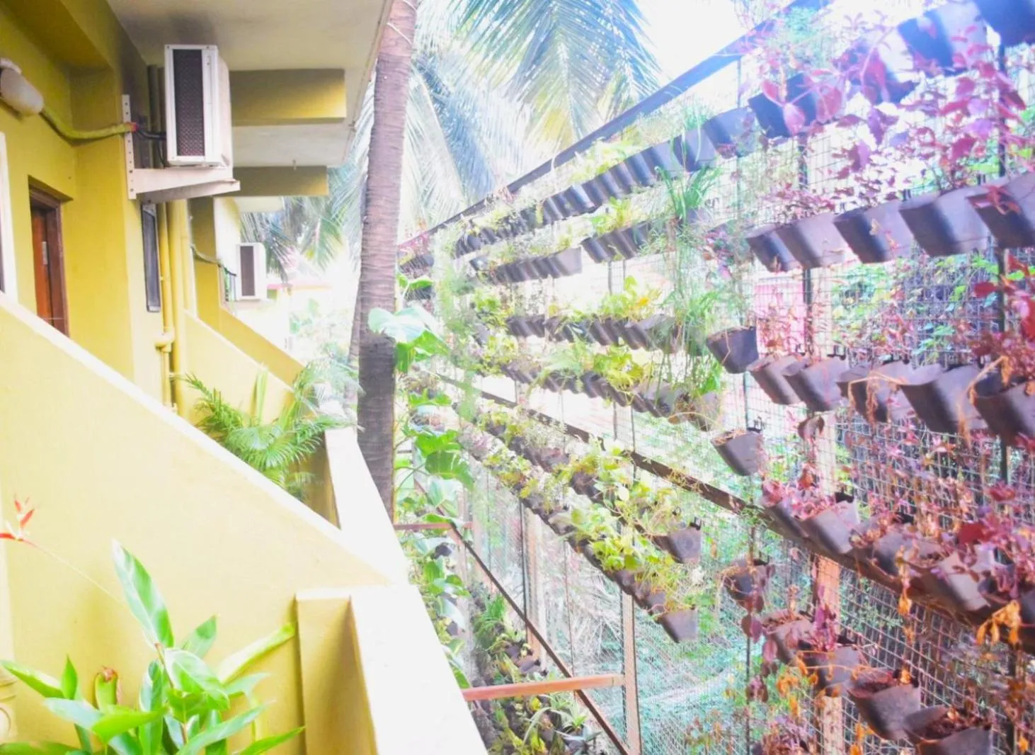 Garden view in LaligurasVilla Beachside Escape - 100m to Beach