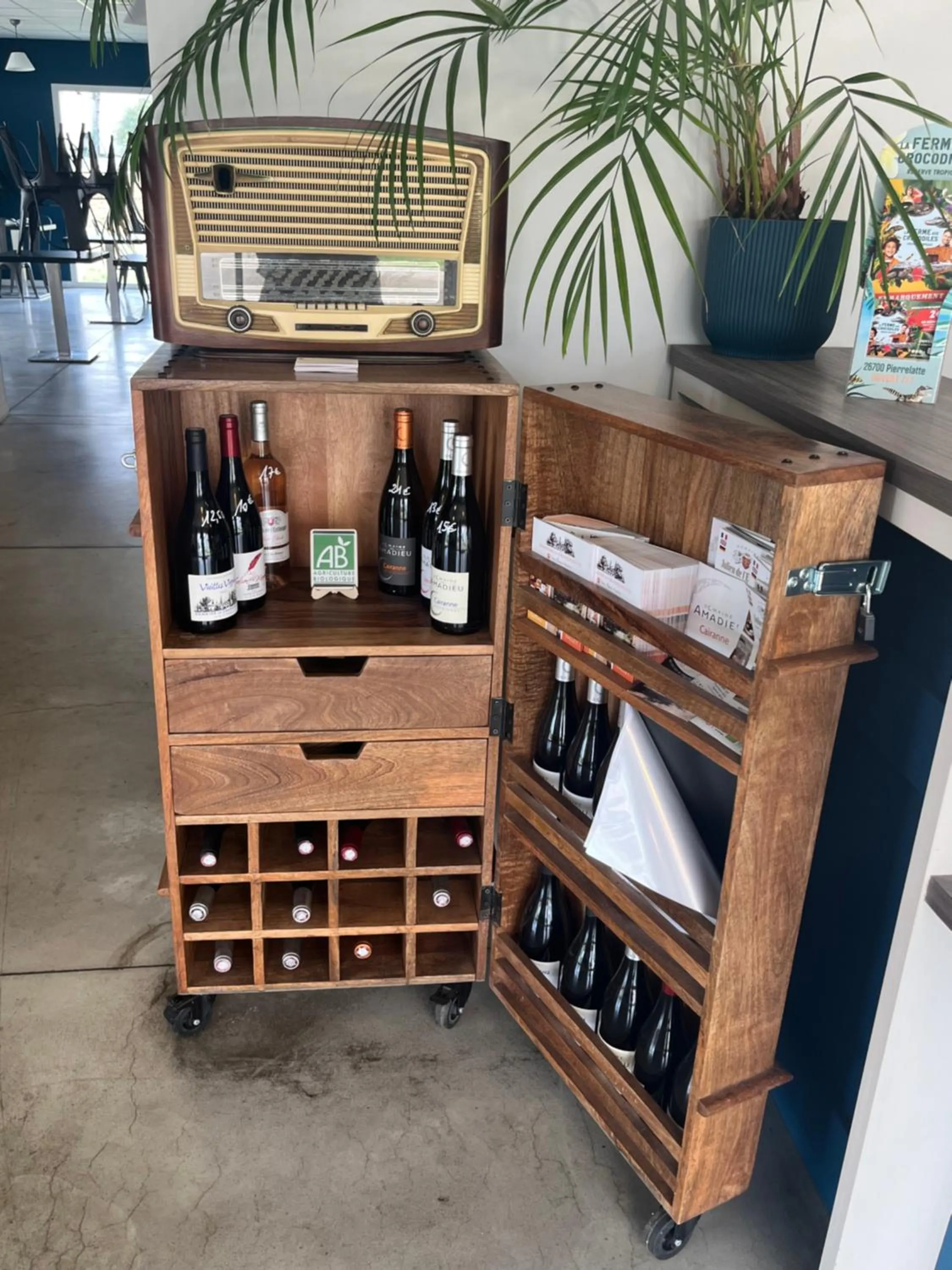 Lounge or bar in Hotel Caiman