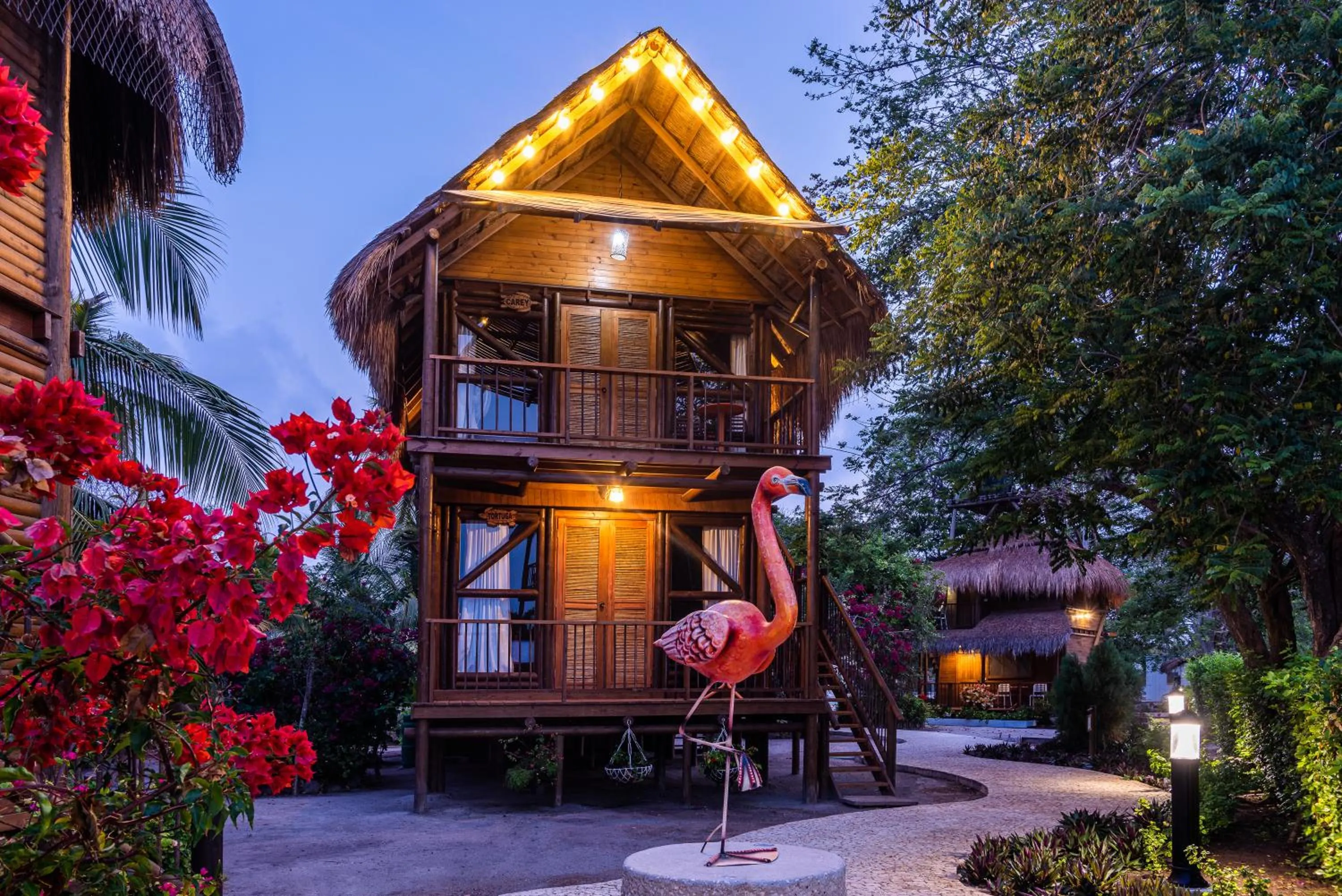 Garden in Hotel Isla del Encanto