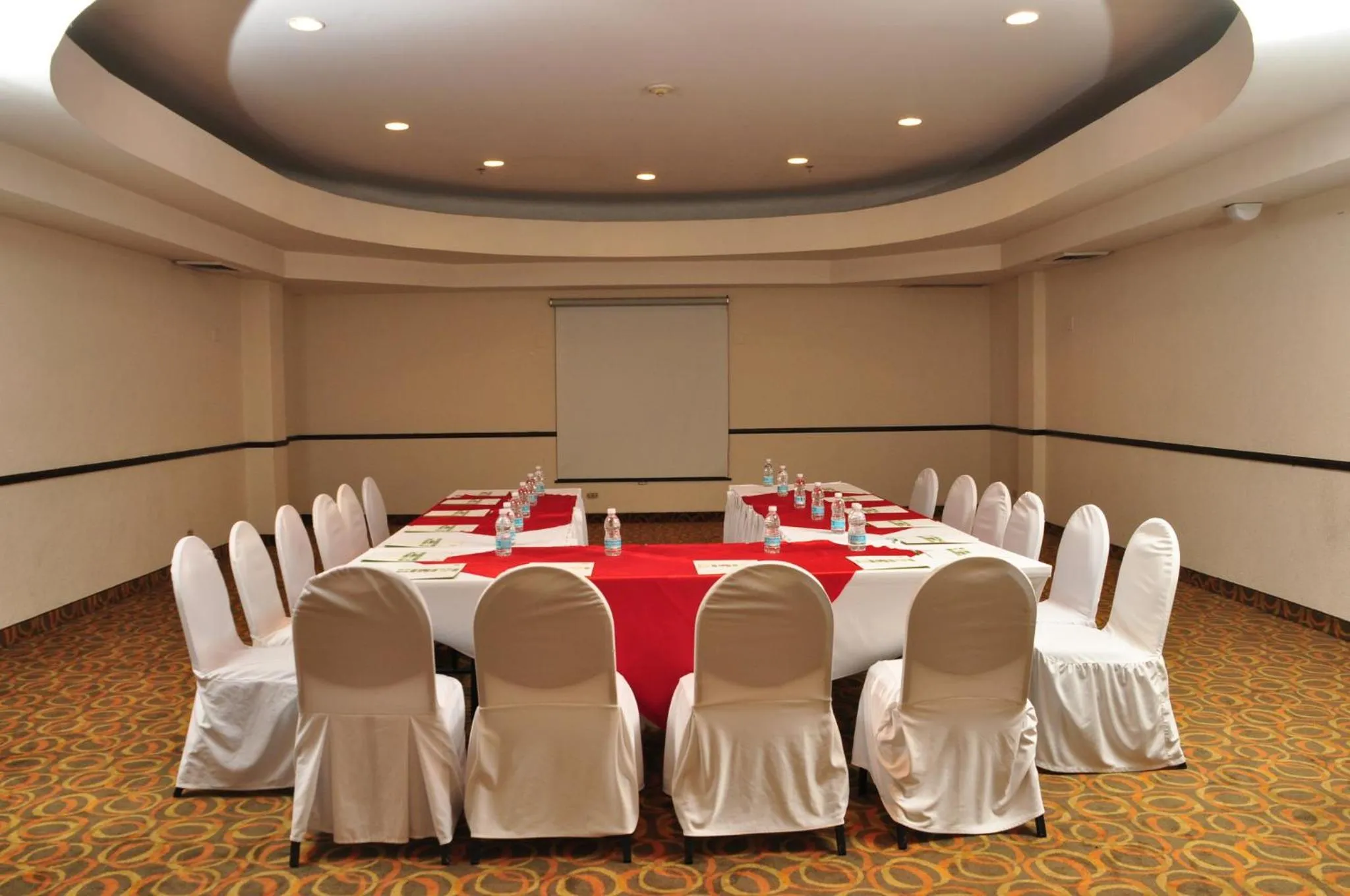 Meeting/conference room in Holiday Inn Tijuana Zona Rio by IHG