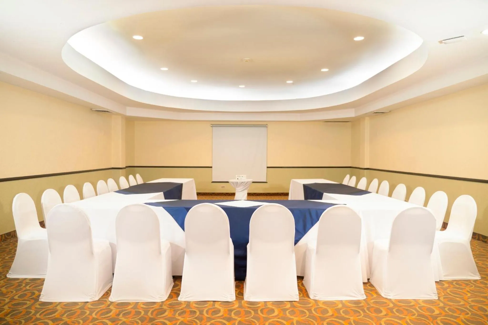 Meeting/conference room in Holiday Inn Tijuana Zona Rio by IHG