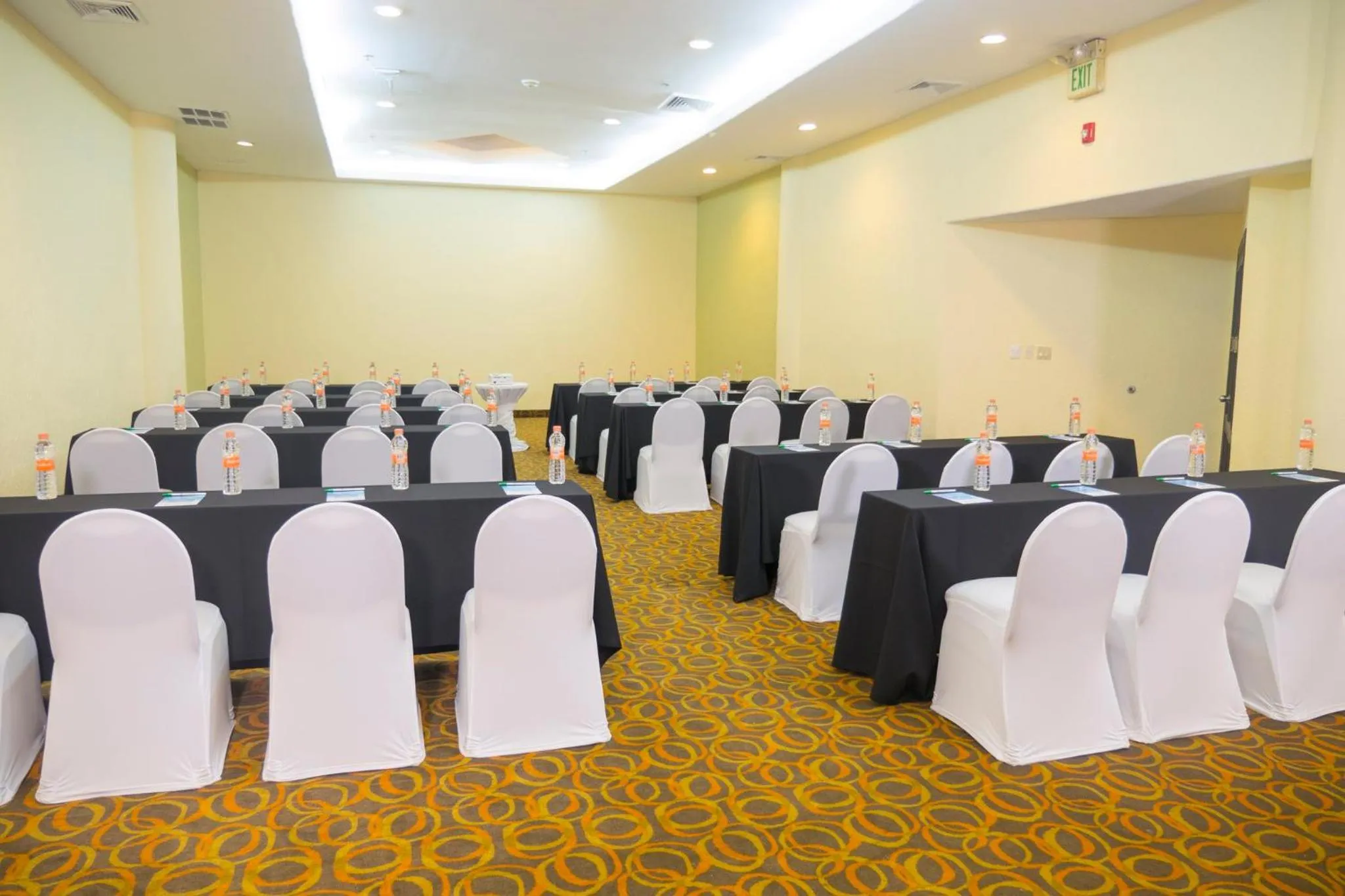 Meeting/conference room in Holiday Inn Tijuana Zona Rio by IHG