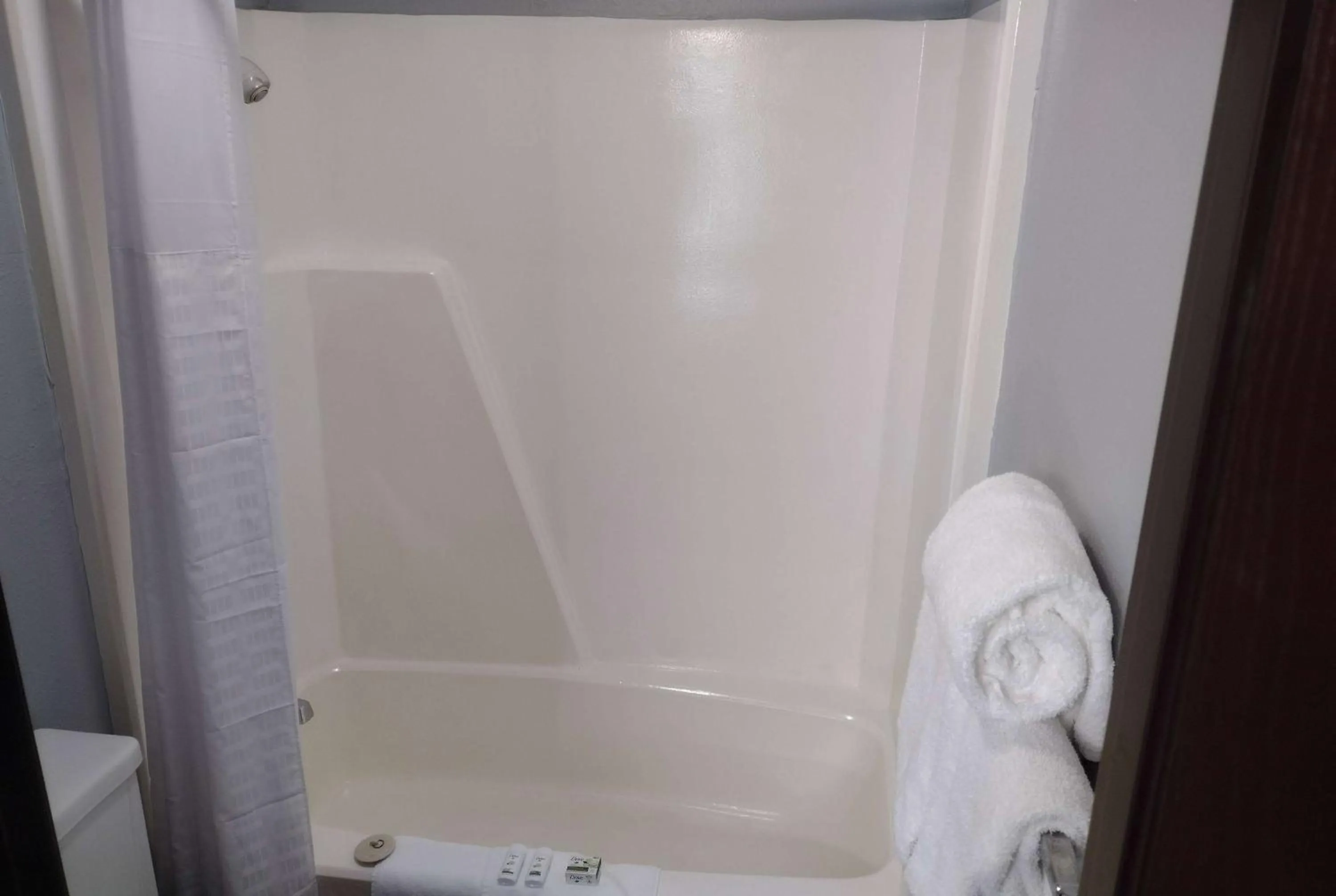 Bathroom in Americas Best Value Inn - Duluth Spirit Mountain Inn