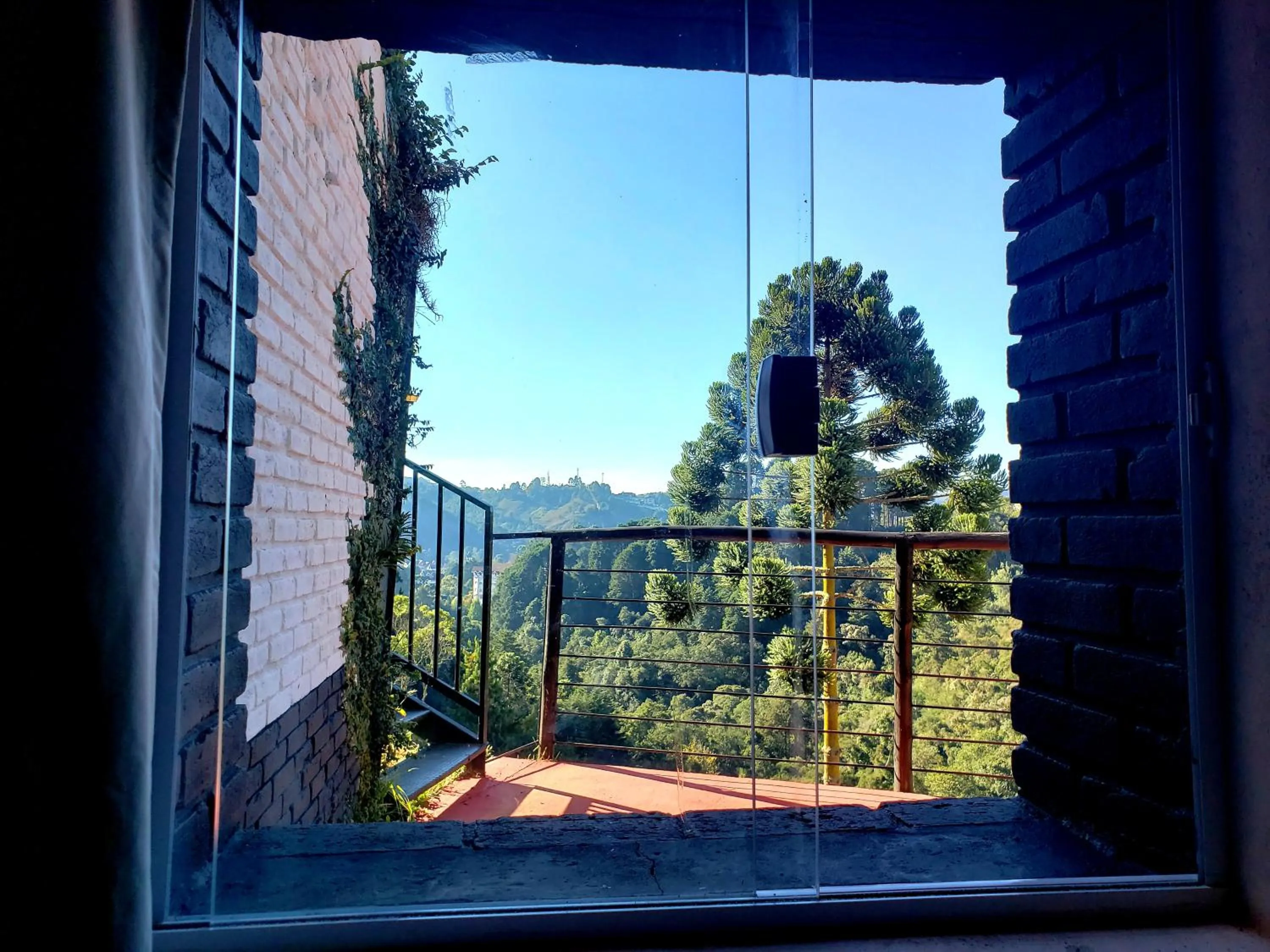 Golden Forest Pousada