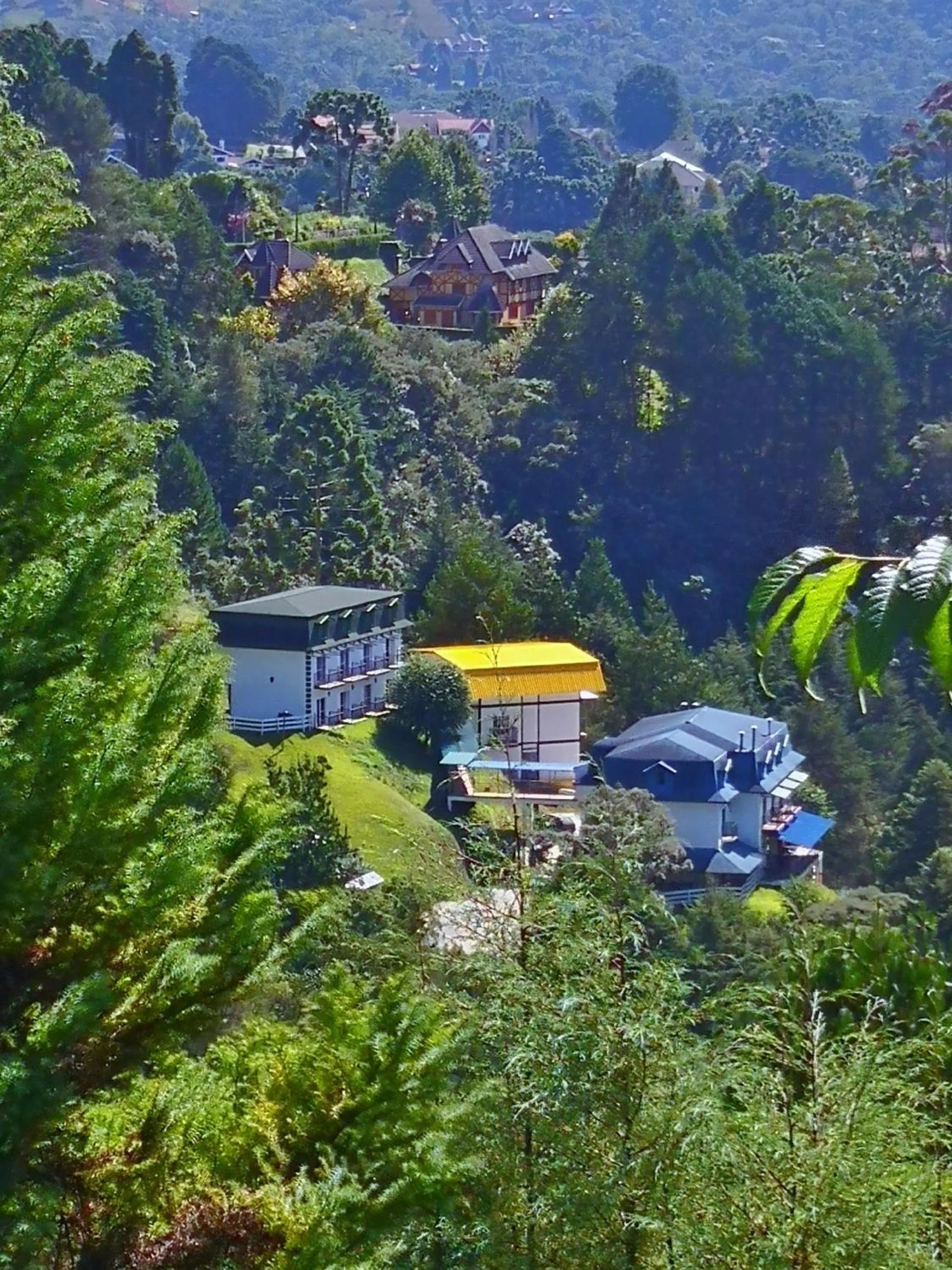 Bird's eye view in Golden Forest Pousada