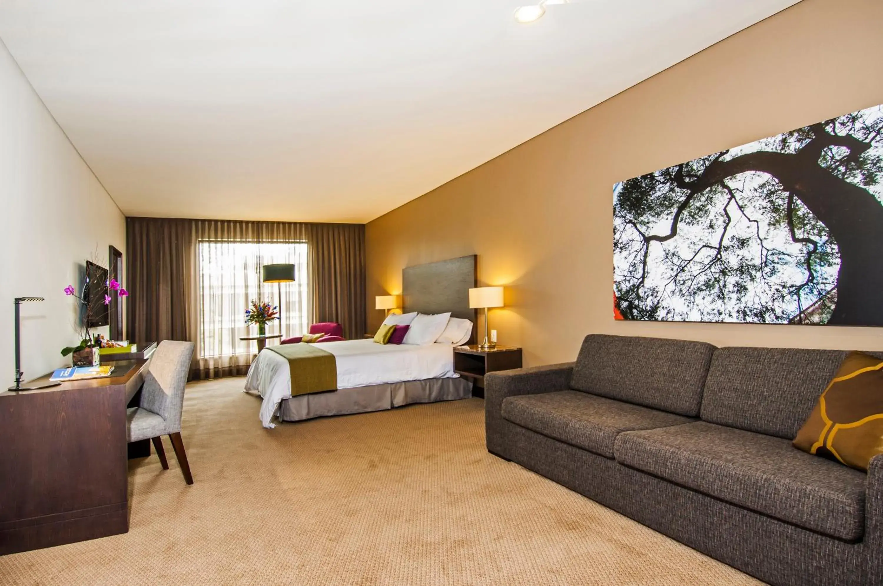 Studio Suite in Hotel Morrison Usaquén Studio Suite in Hotel Morrison Usaquén