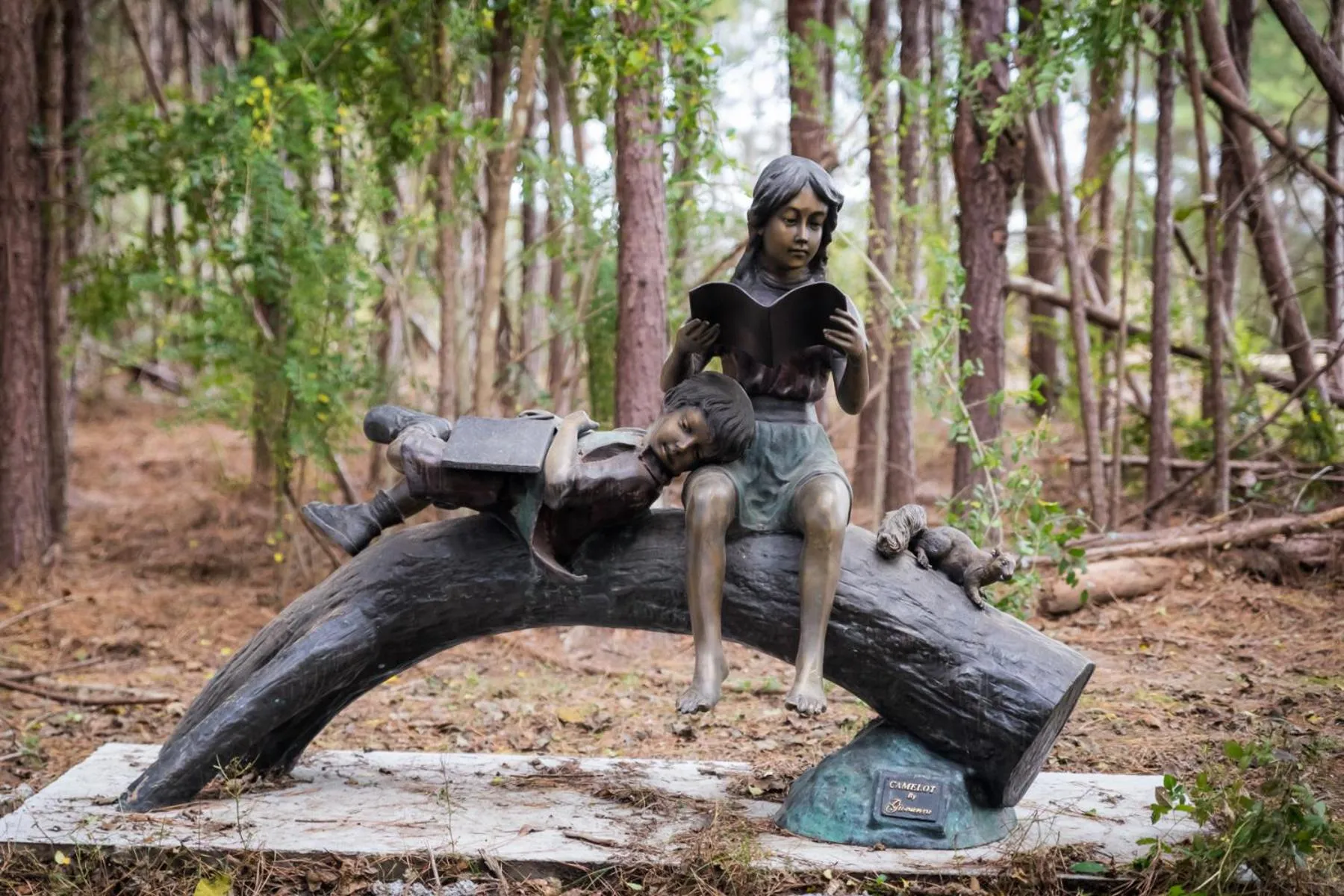 Garden in Bienvenue Mon Ami Bed and Breakfast