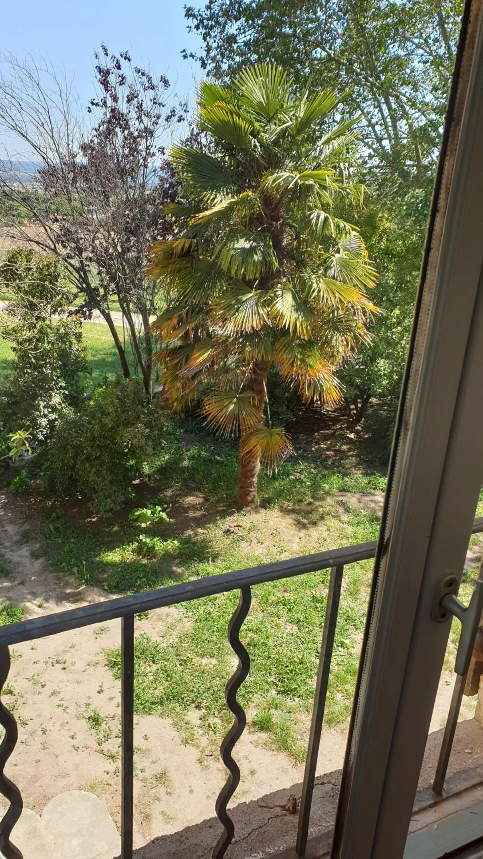View (from property/room) in la bastide de l'adrech