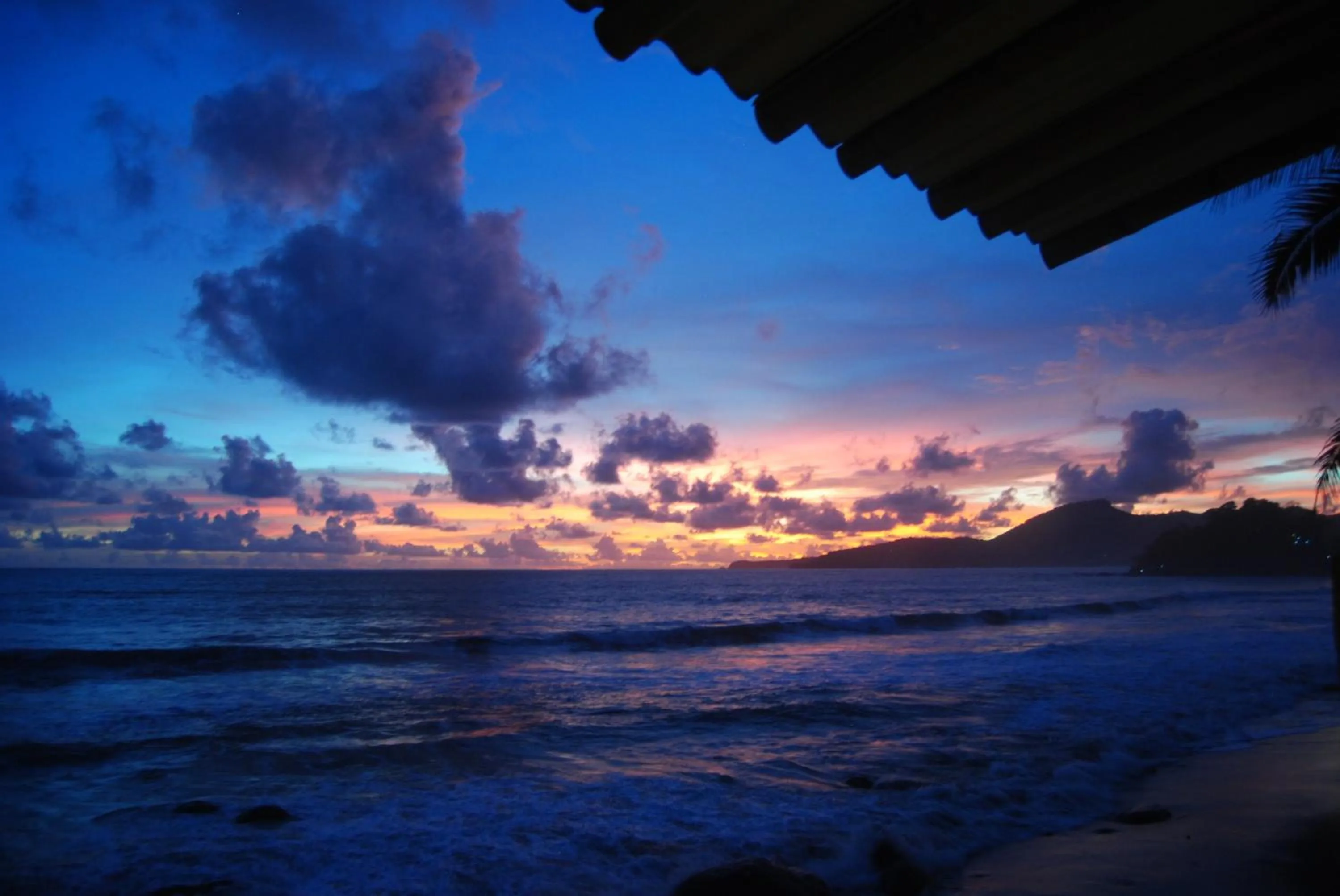 Area and facilities in 77 Sunset Plaza