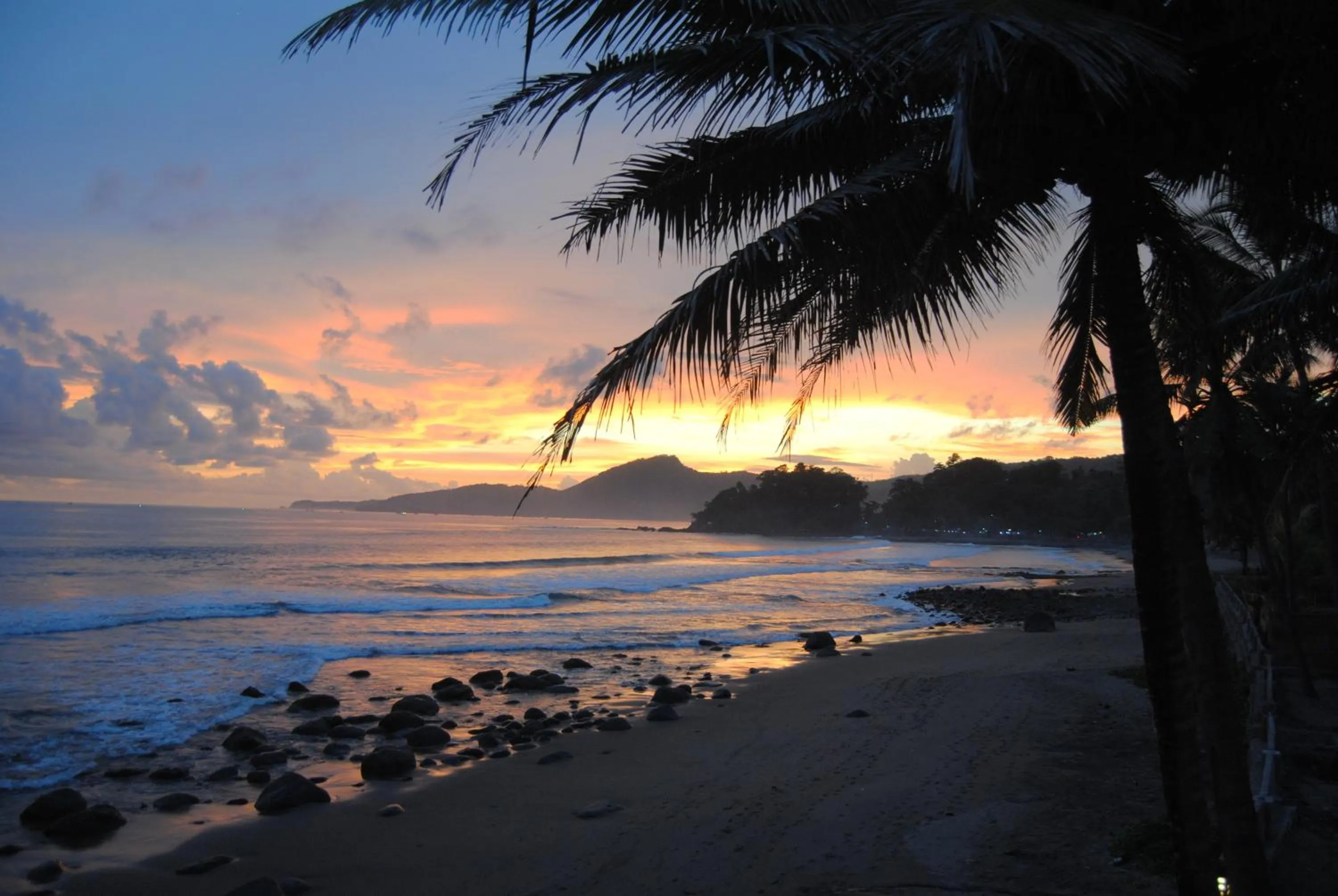 Area and facilities in 77 Sunset Plaza