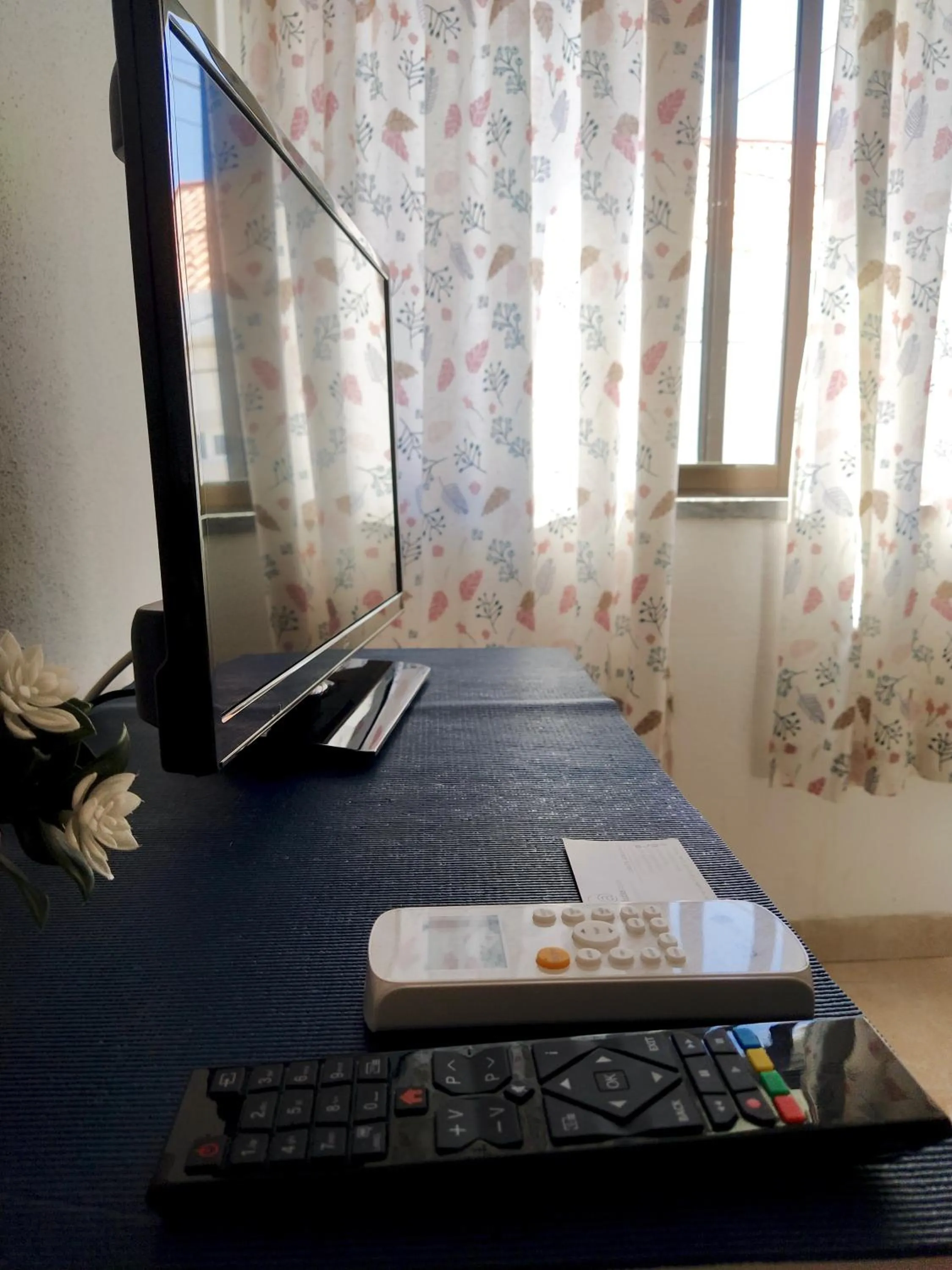 TV and multimedia in AtJuditehome