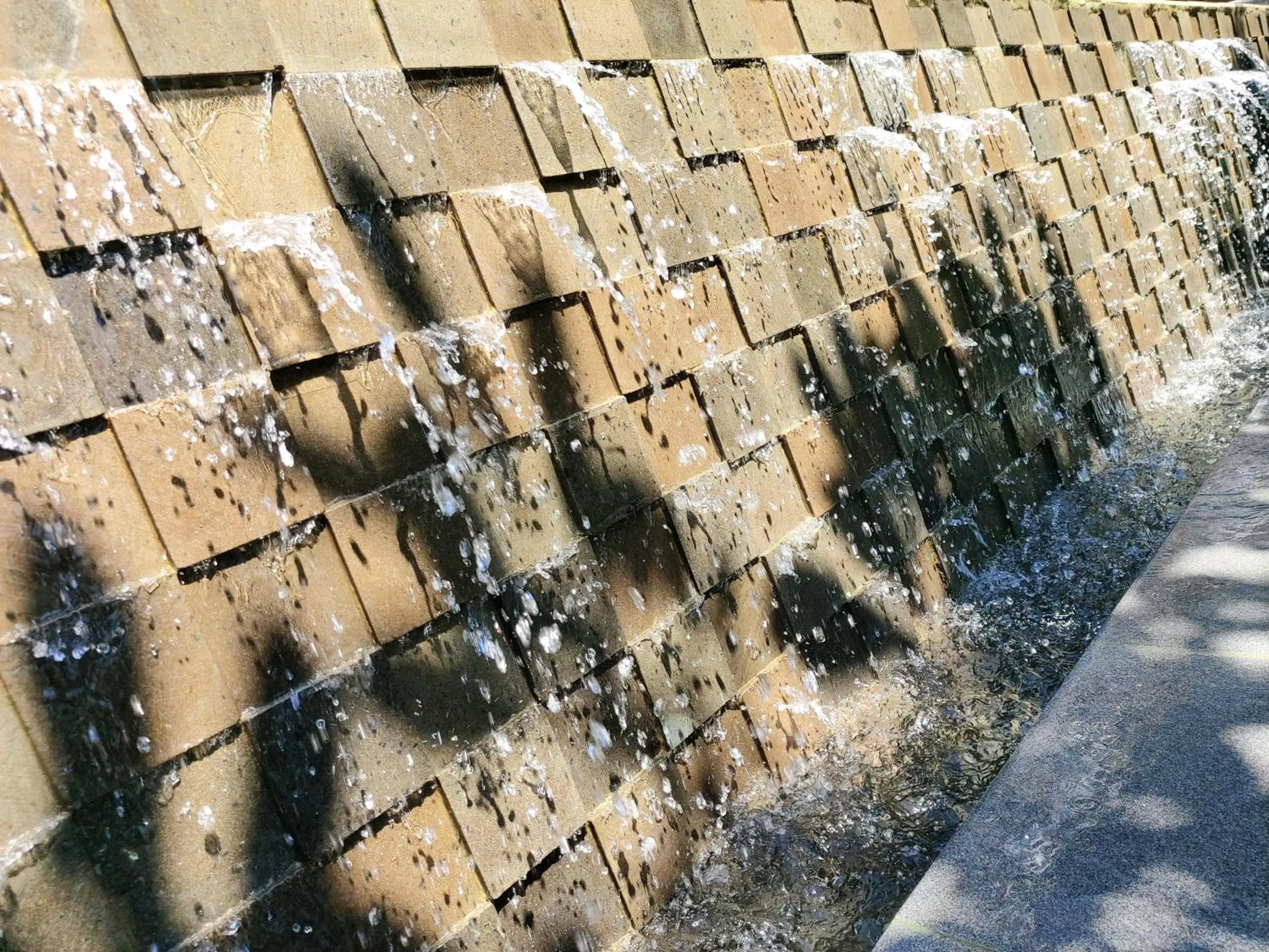 Swimming pool in Radha Bali Hotel