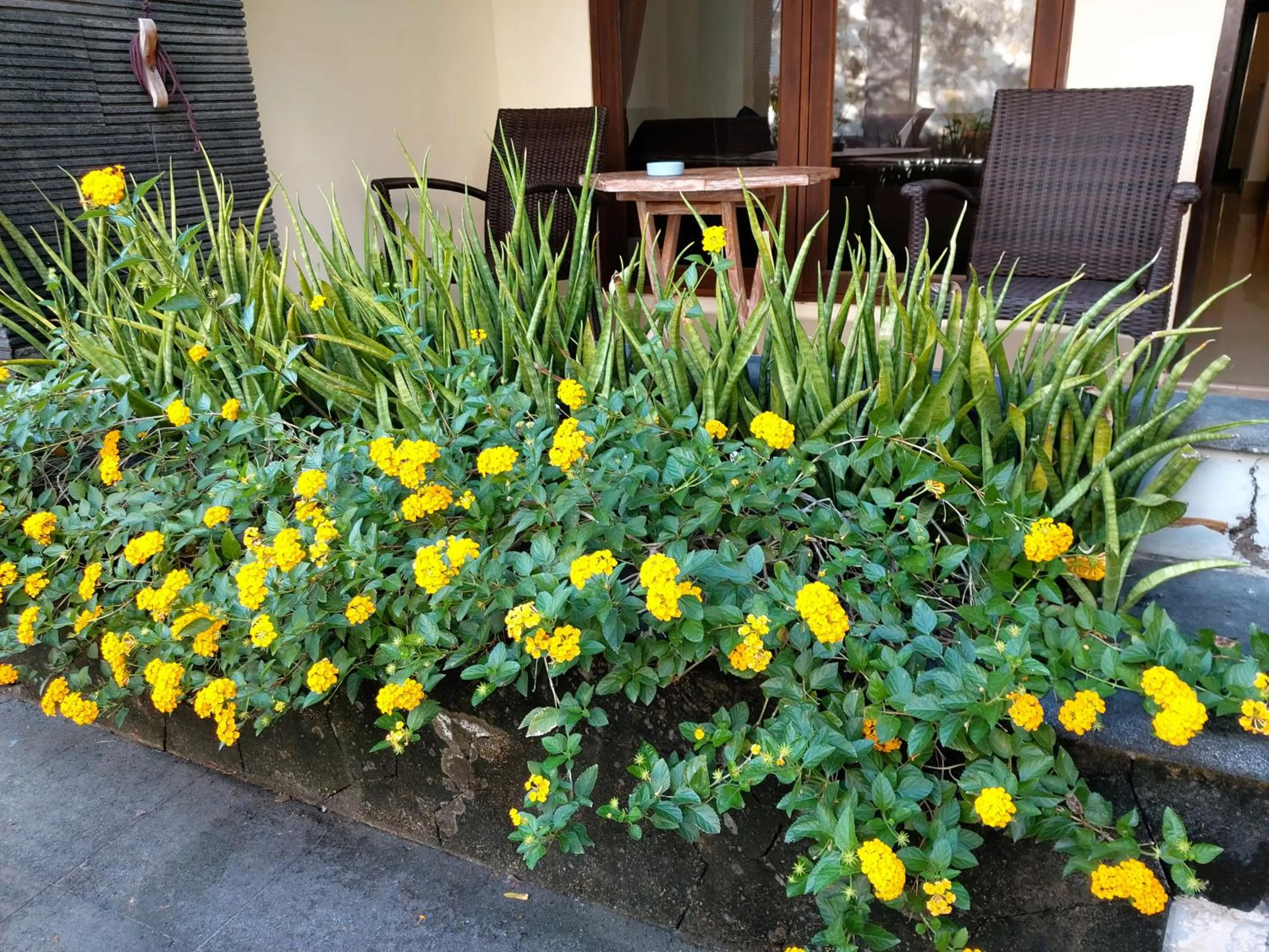 Balcony/Terrace in Radha Bali Hotel