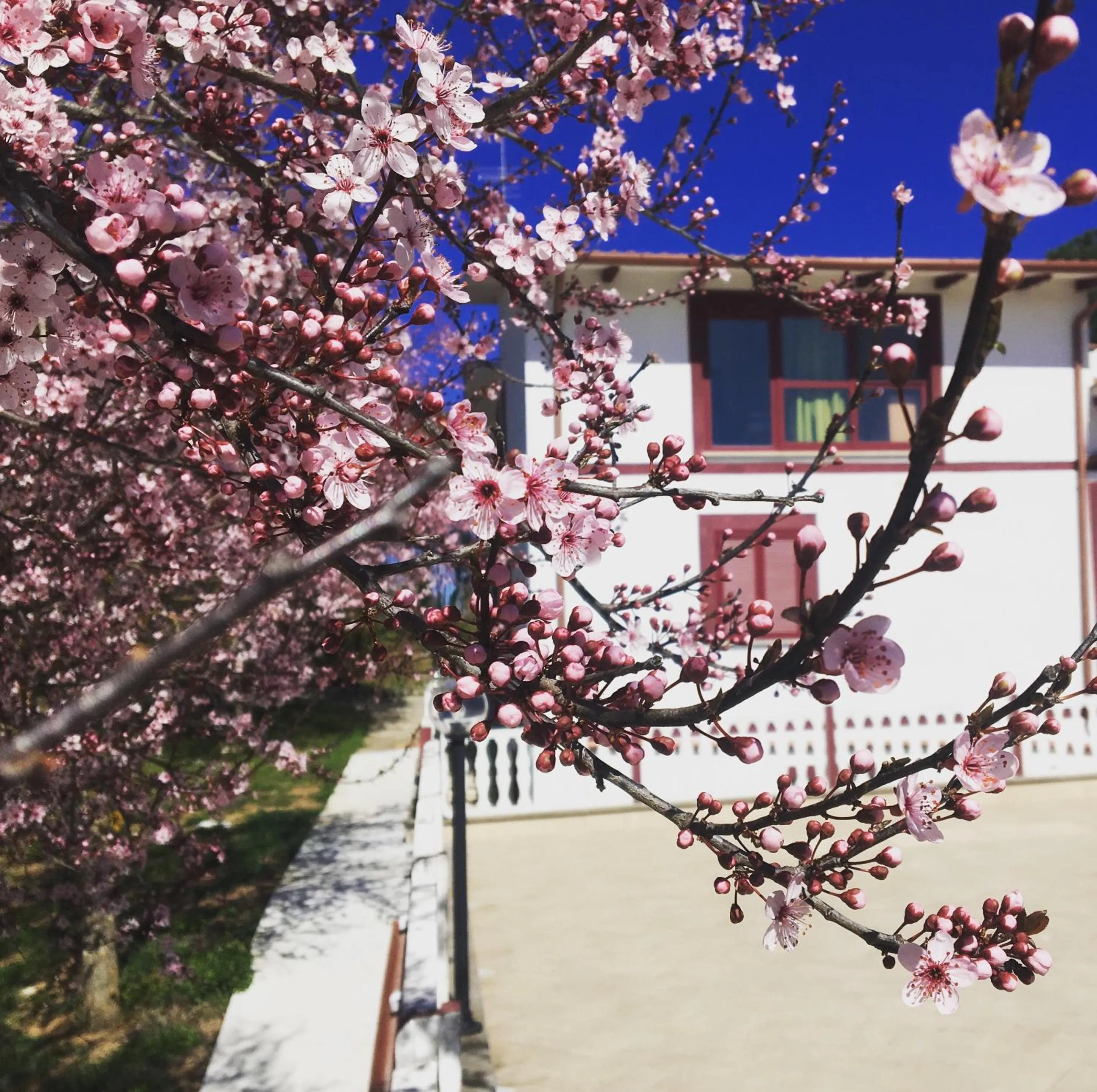 Il Profumo della Natura B&B