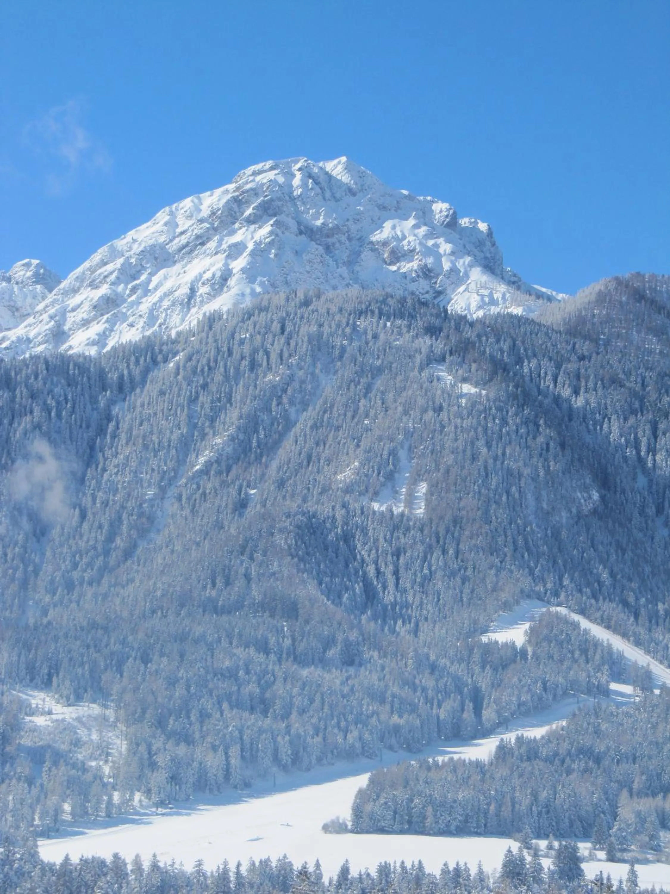 Natural landscape in Hotel Moritz