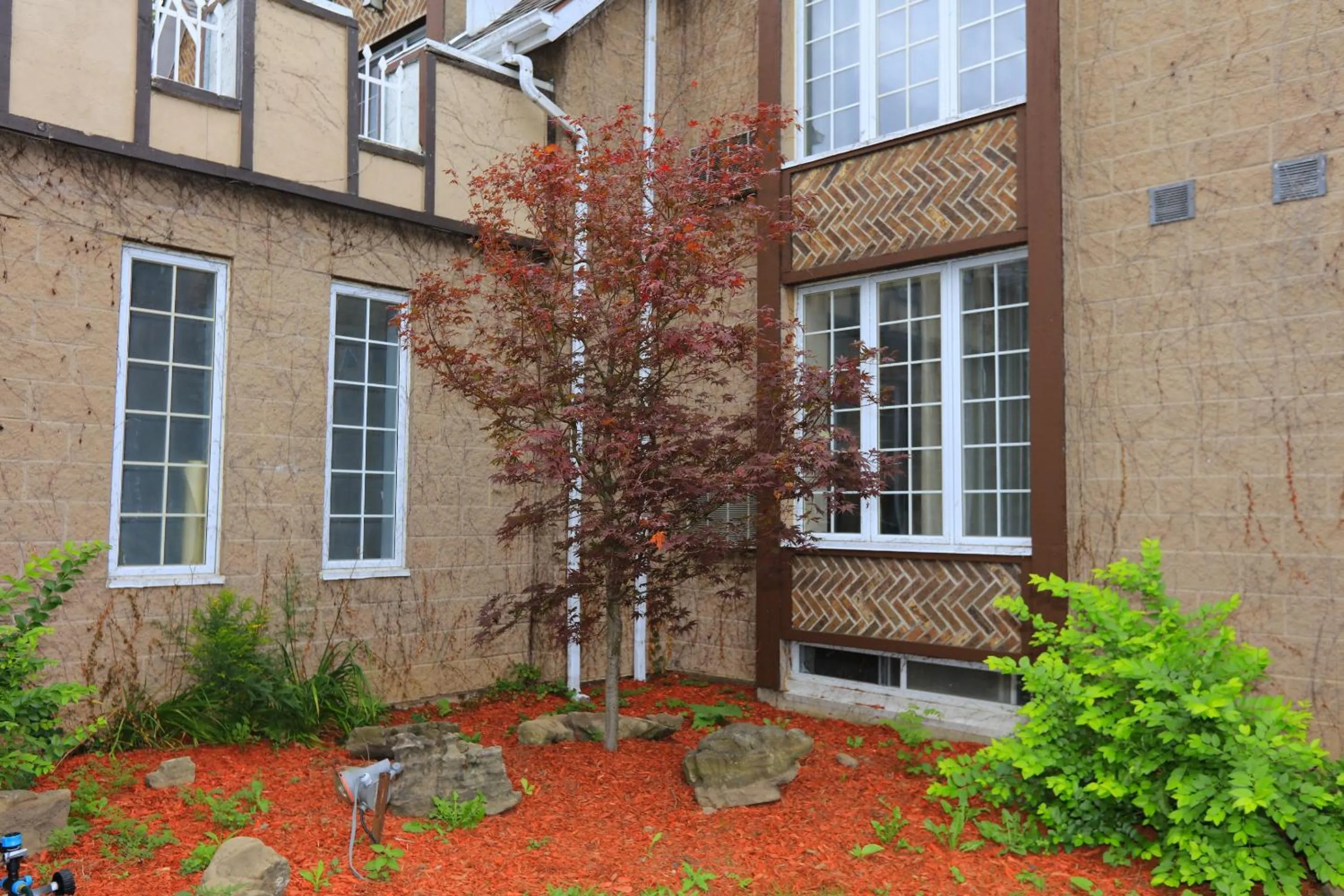 Garden in Fullerton Manor Inn