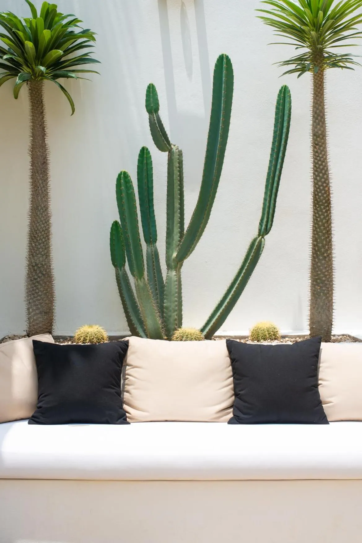 Patio in Residencia Tropical Don Bonito