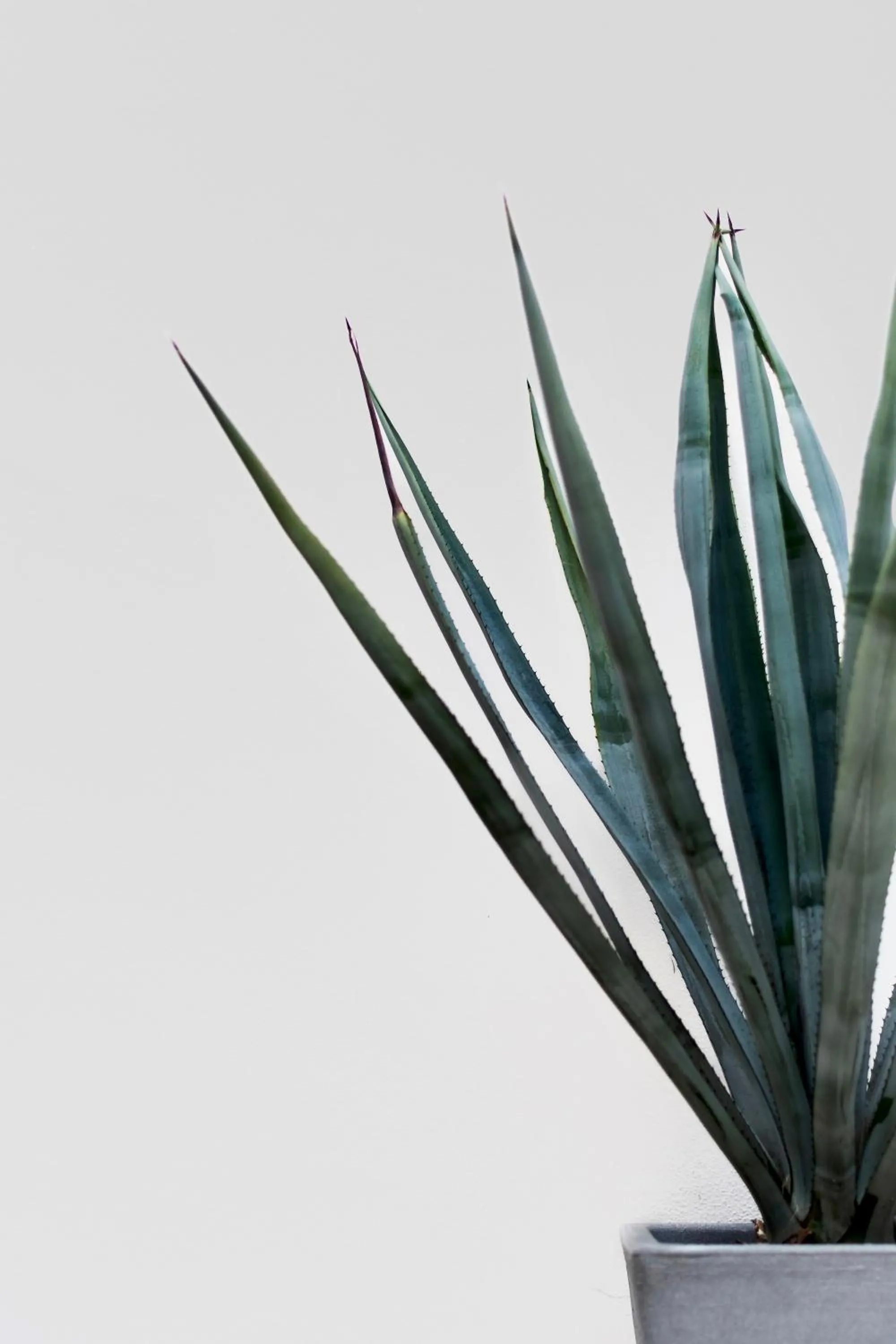 Property building in Residencia Tropical Don Bonito