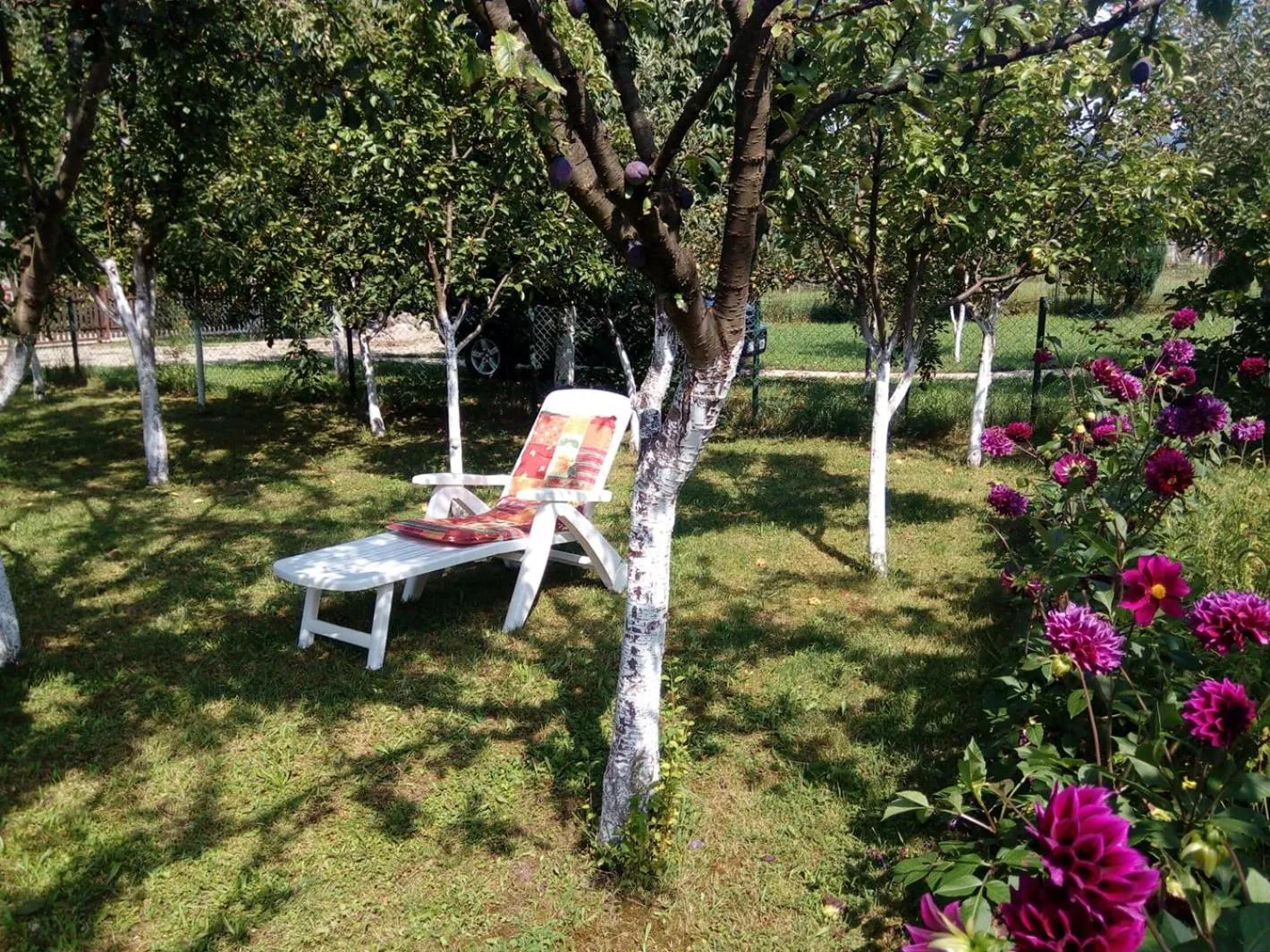 Garden in Sunny Paradise