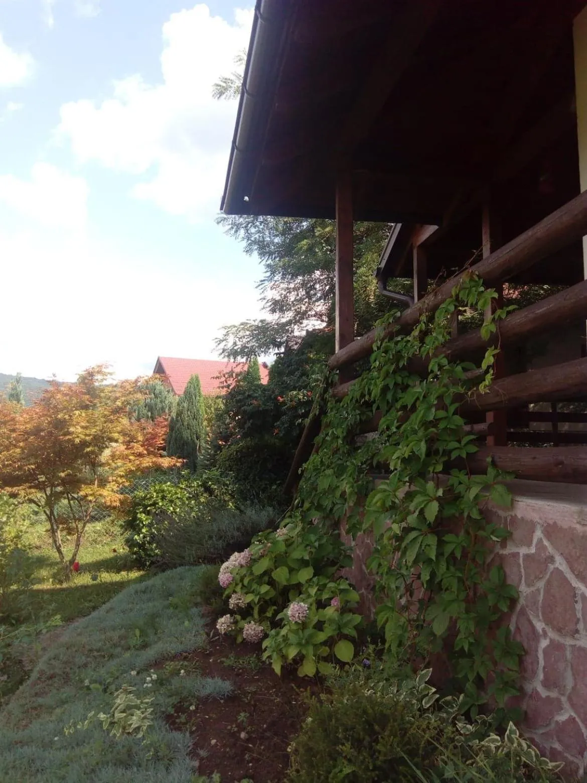 Property building in Sunny Paradise