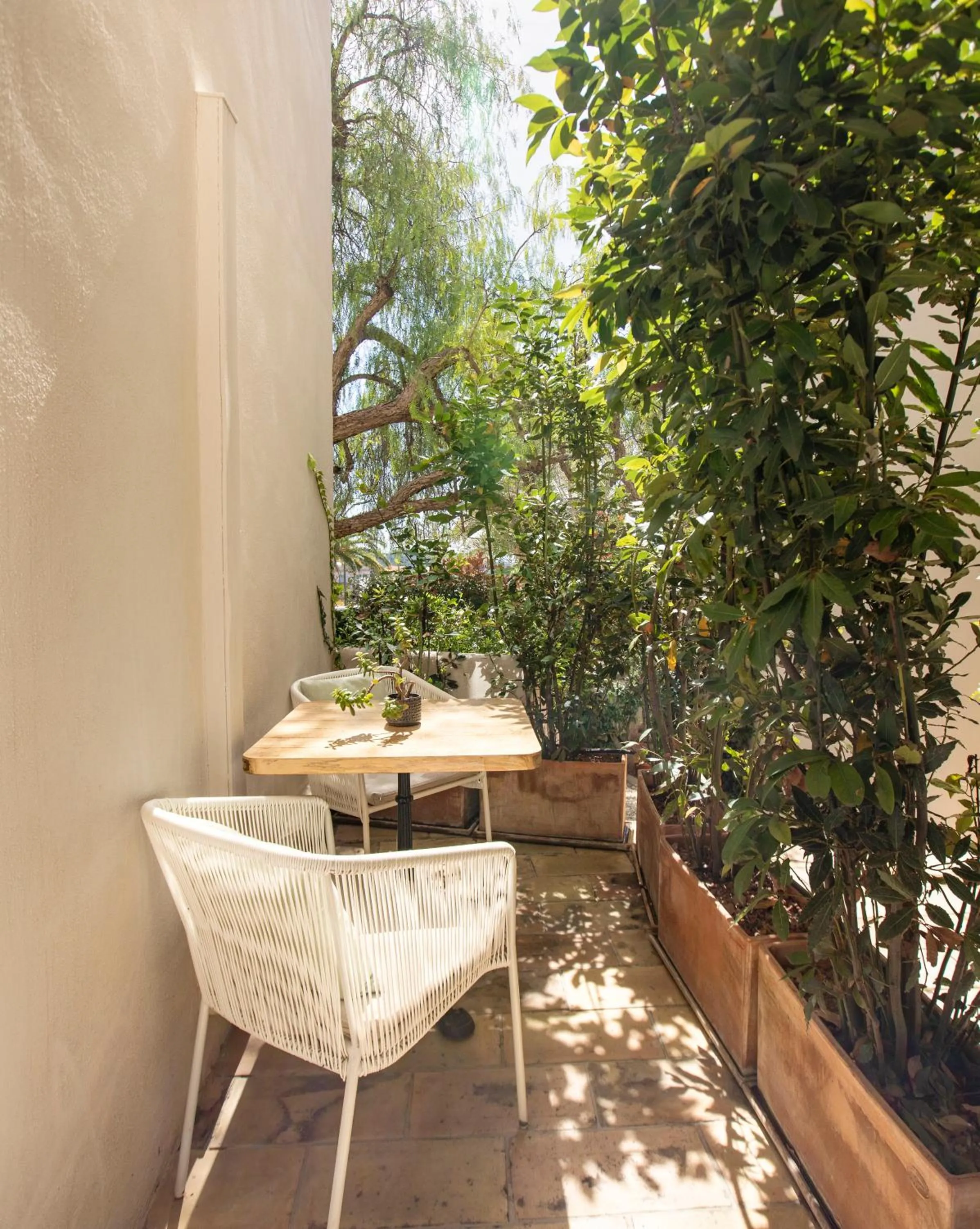 Balcony/Terrace in Hotel La Bienvenue