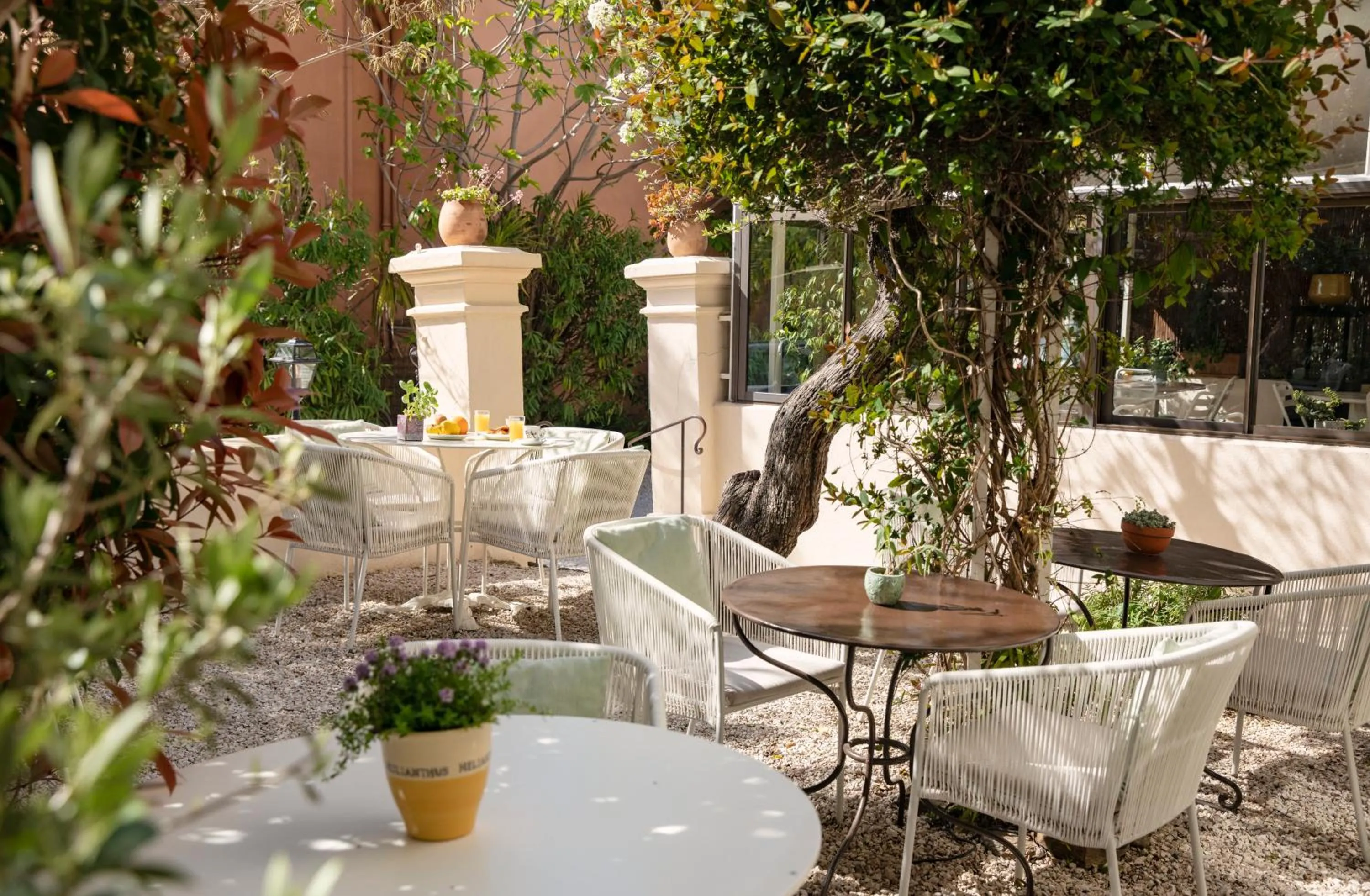 Garden in Hotel La Bienvenue