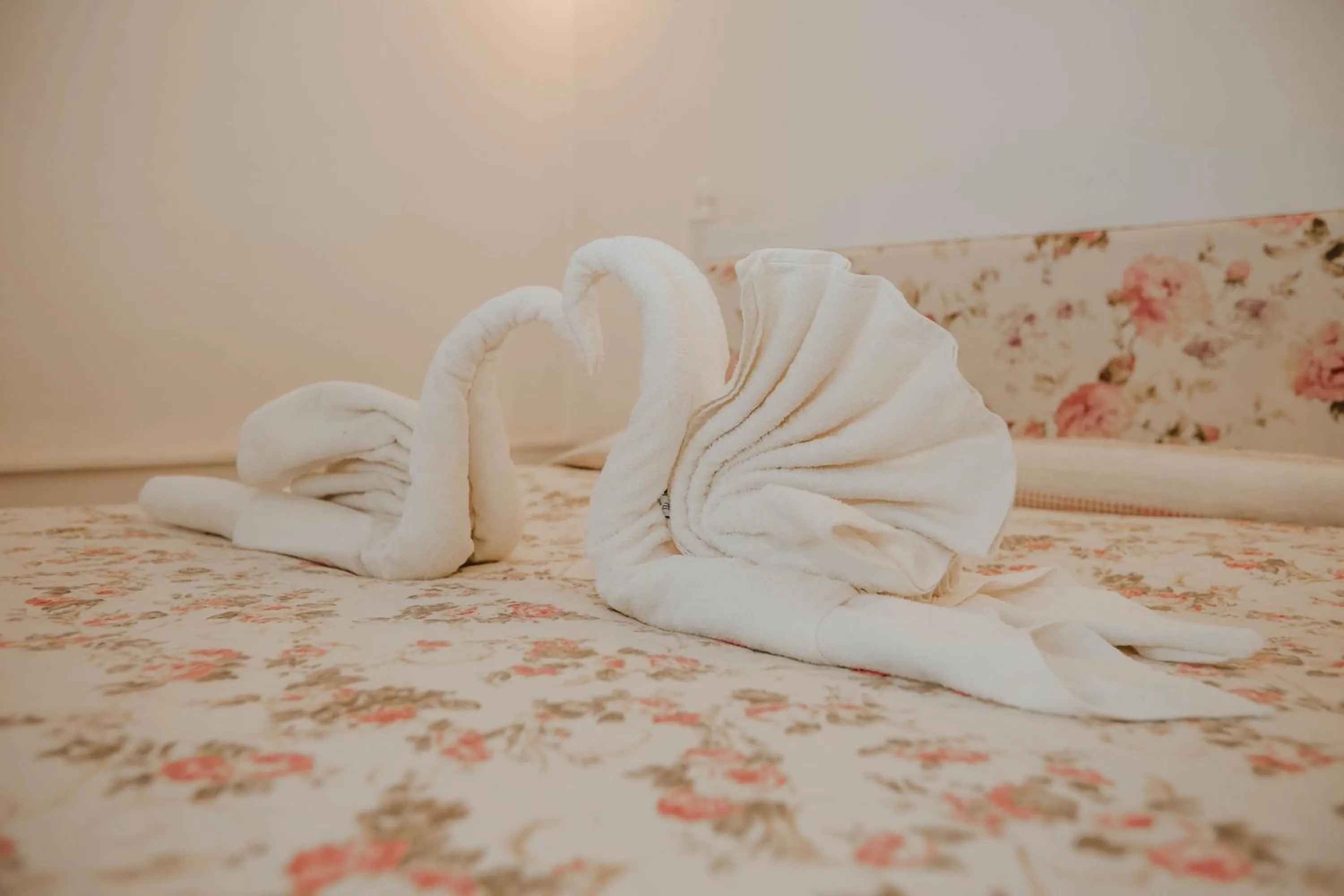 Photo of the whole room in Patio Hotel