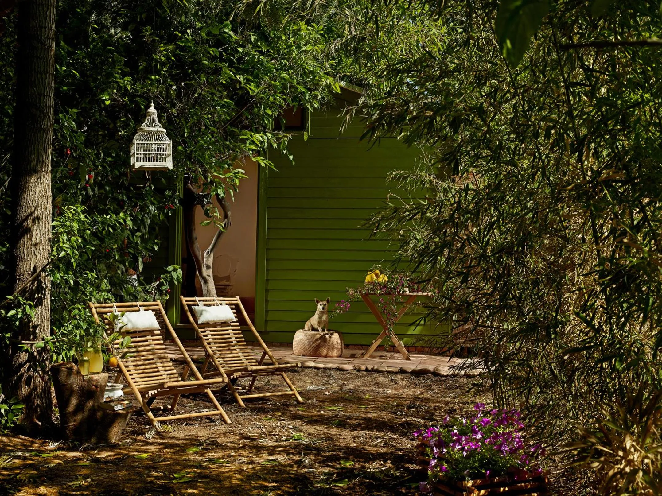 Patio in Olympos Lodge