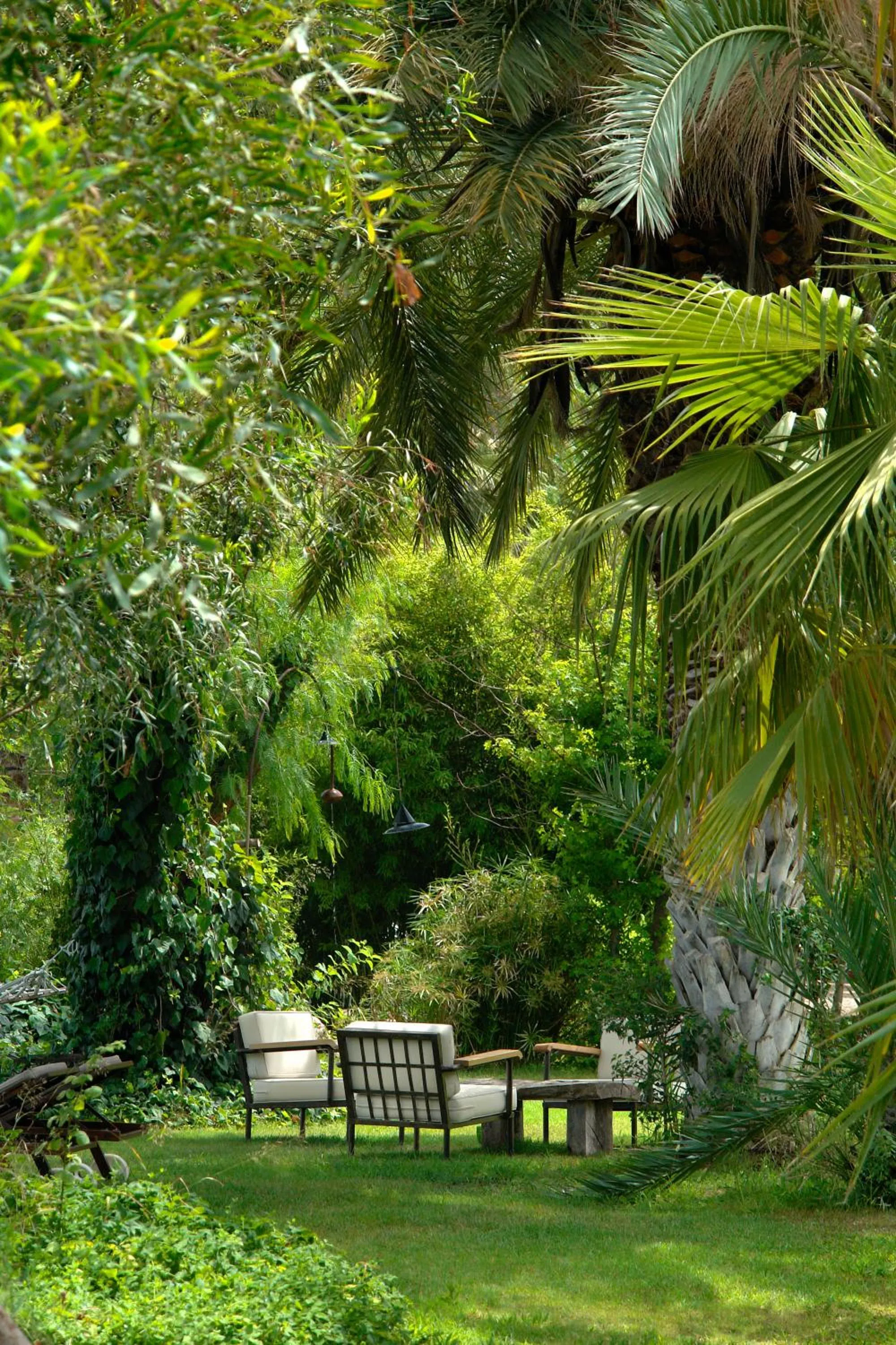 Garden in Olympos Lodge