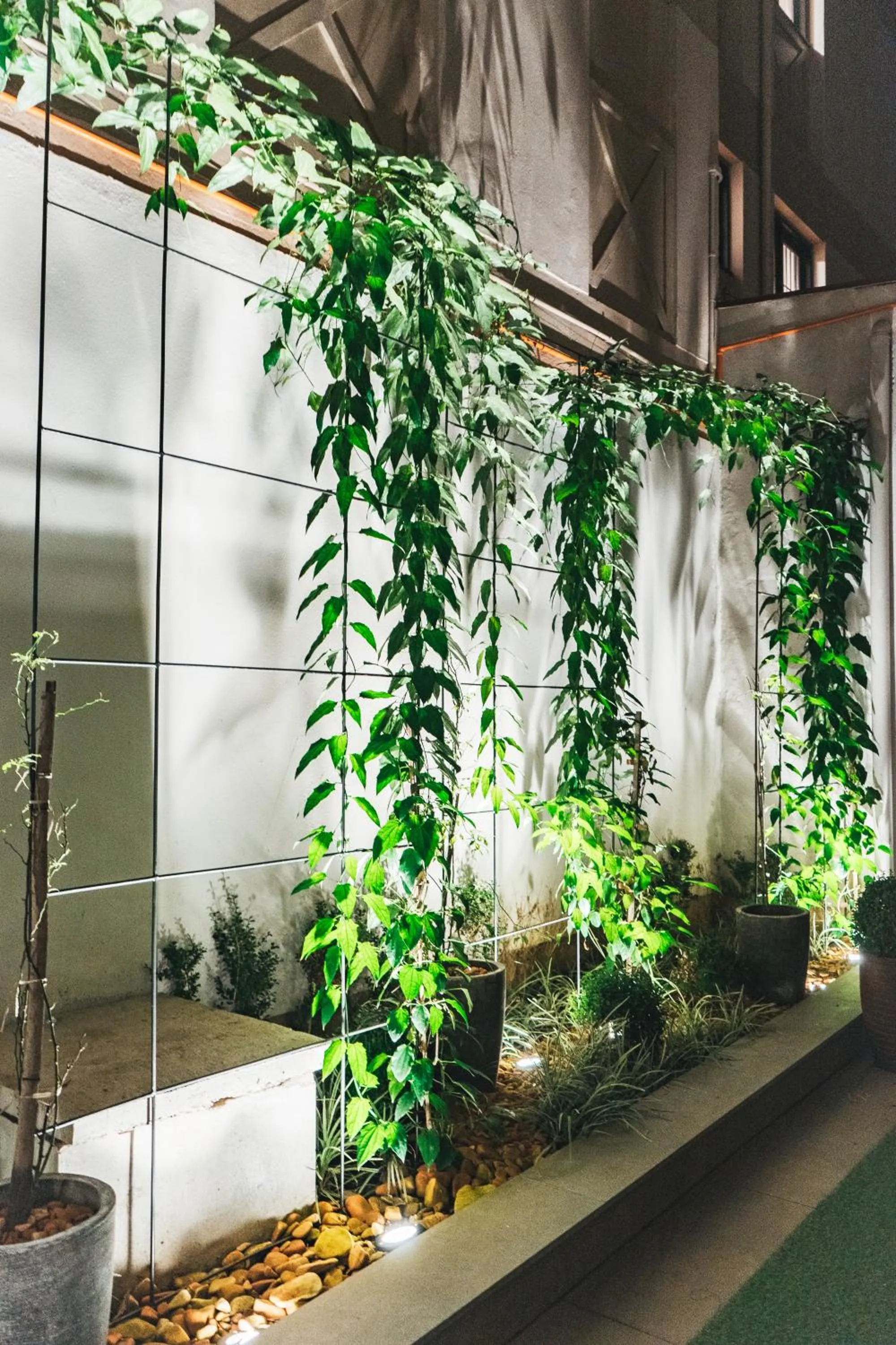 Balcony/Terrace in Hotel Fioreze Centro
