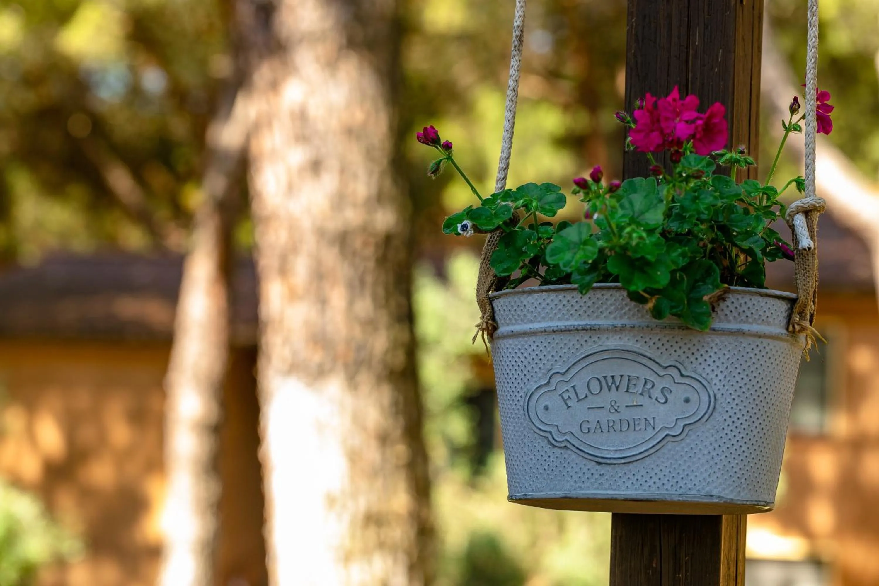 Decorative detail in Residence Ristorante Il Paradiso