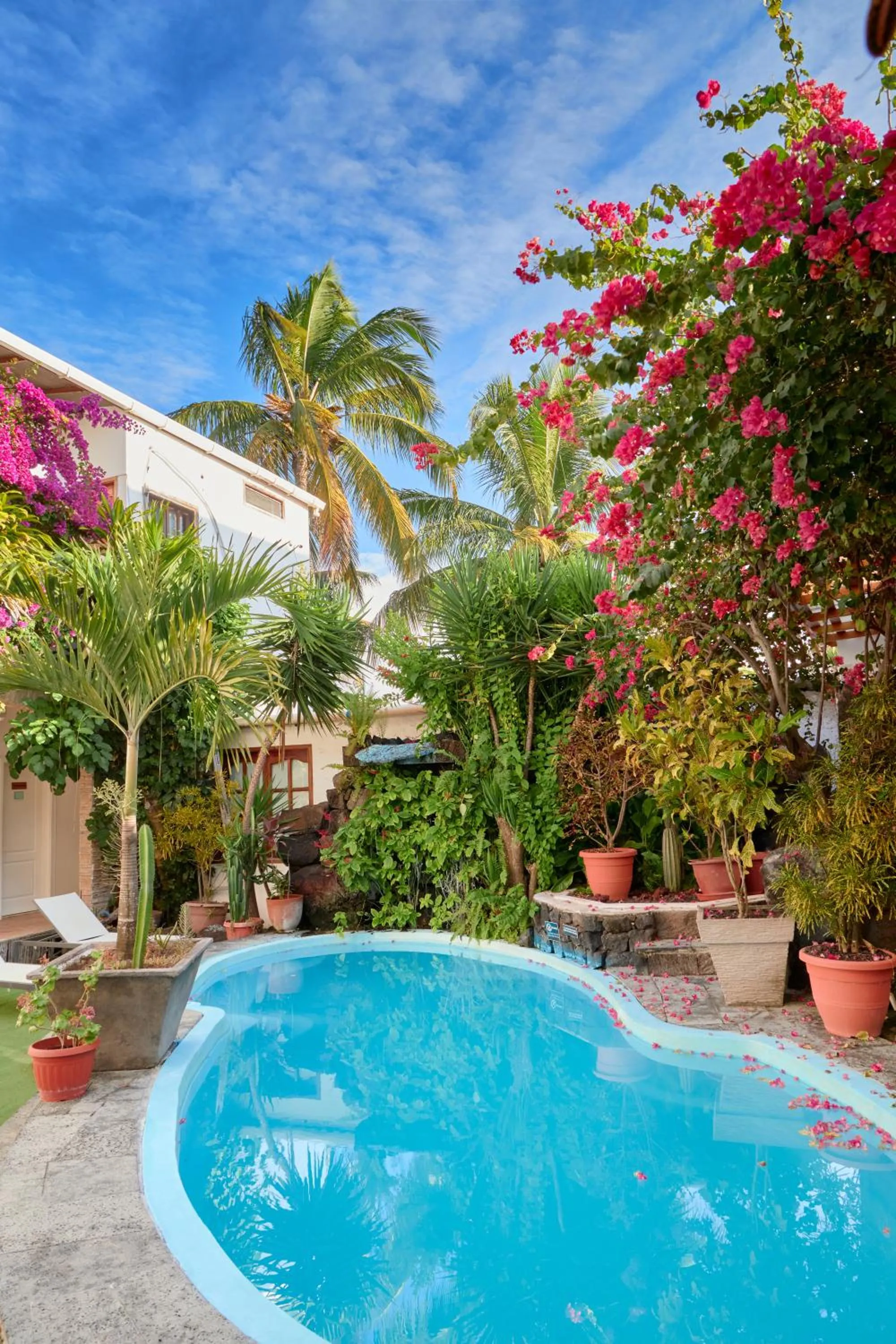 Day in Hotel Albemarle Galapagos Beachfront