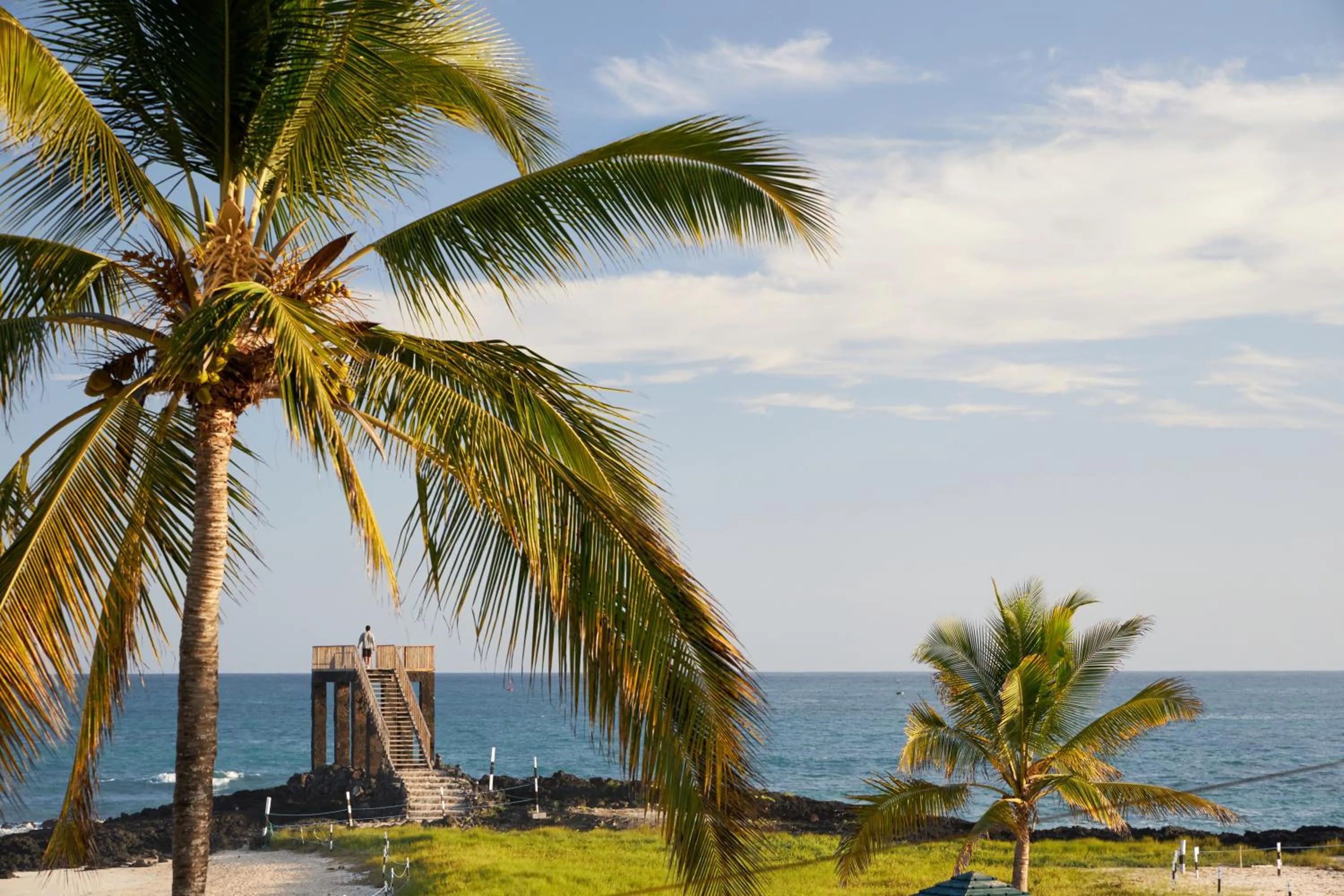 Natural landscape in Hotel Albemarle Galapagos Beachfront