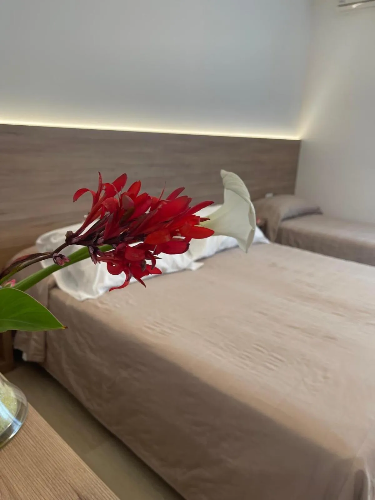 Bedroom in Hotel Berna