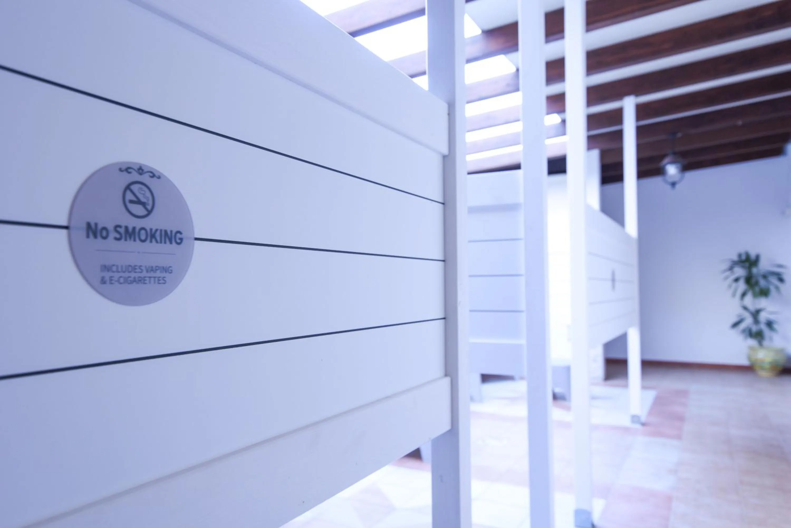 Patio in Affittacamere Aloe