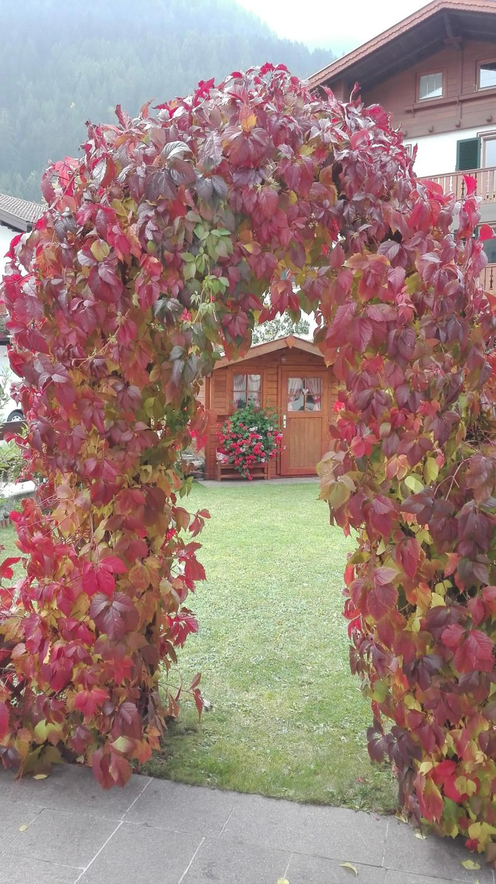 Garden view in Hotel Garni Walter