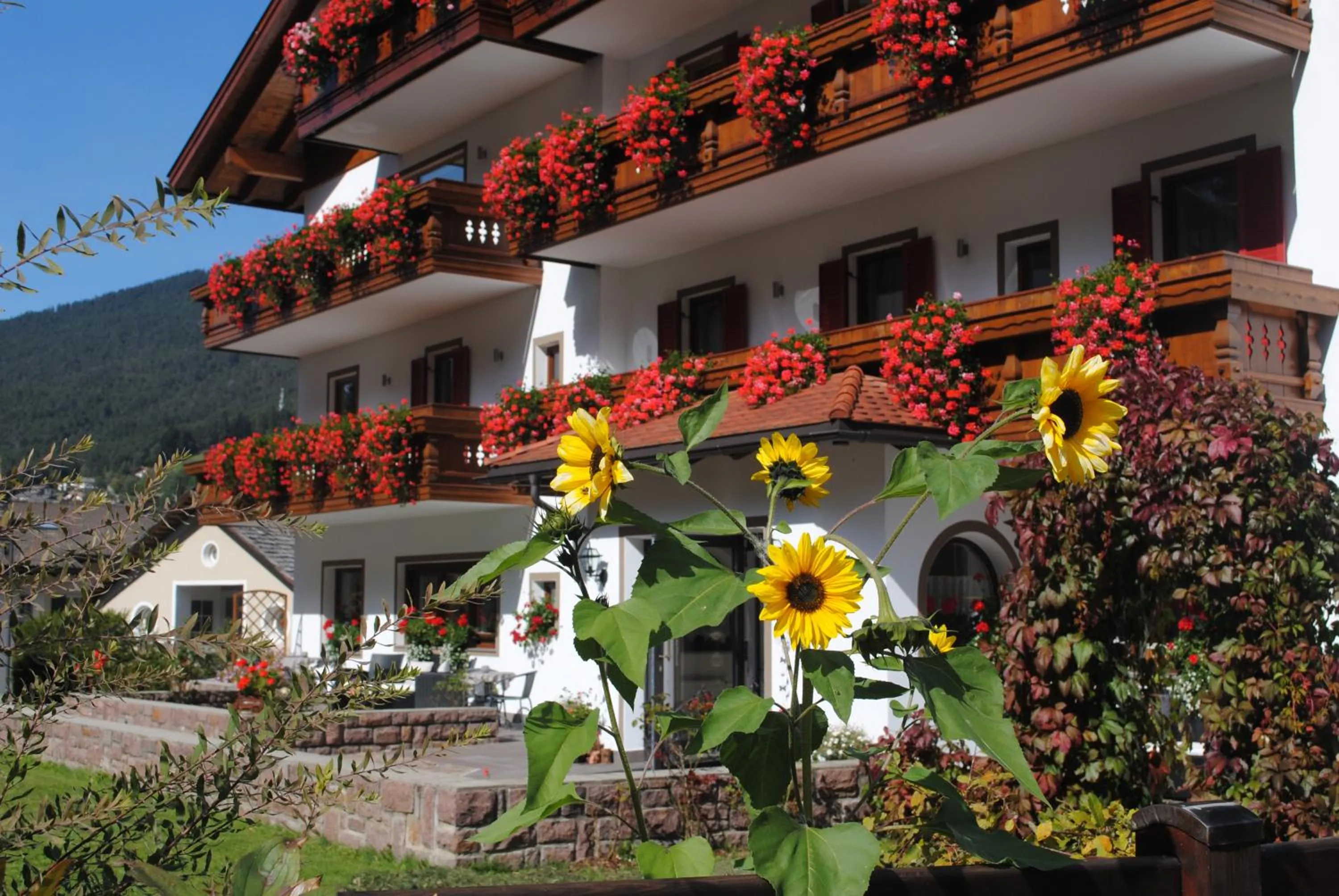 Garden in Hotel Garni Walter