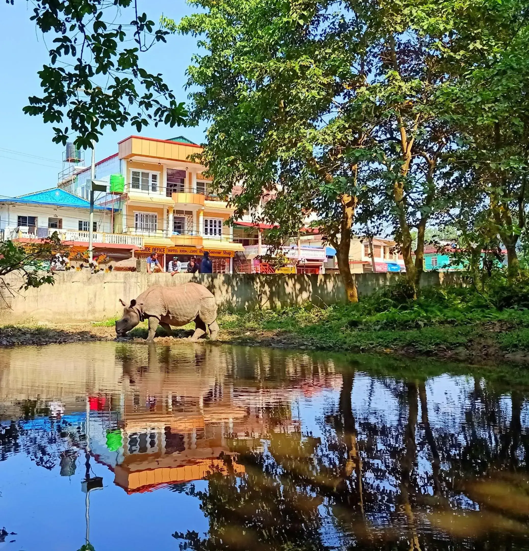 Hotel Rhinoceros-Homestay Hotel Rhinoceros-Homestay