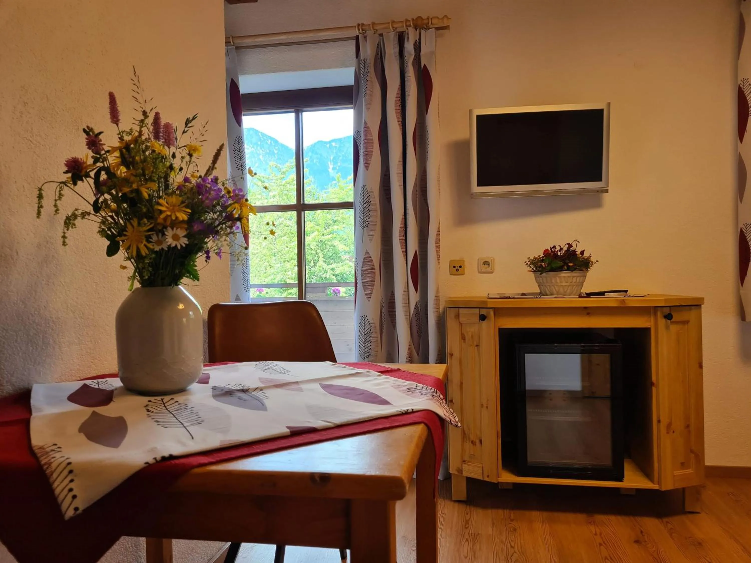 TV and multimedia in Pension Sydler