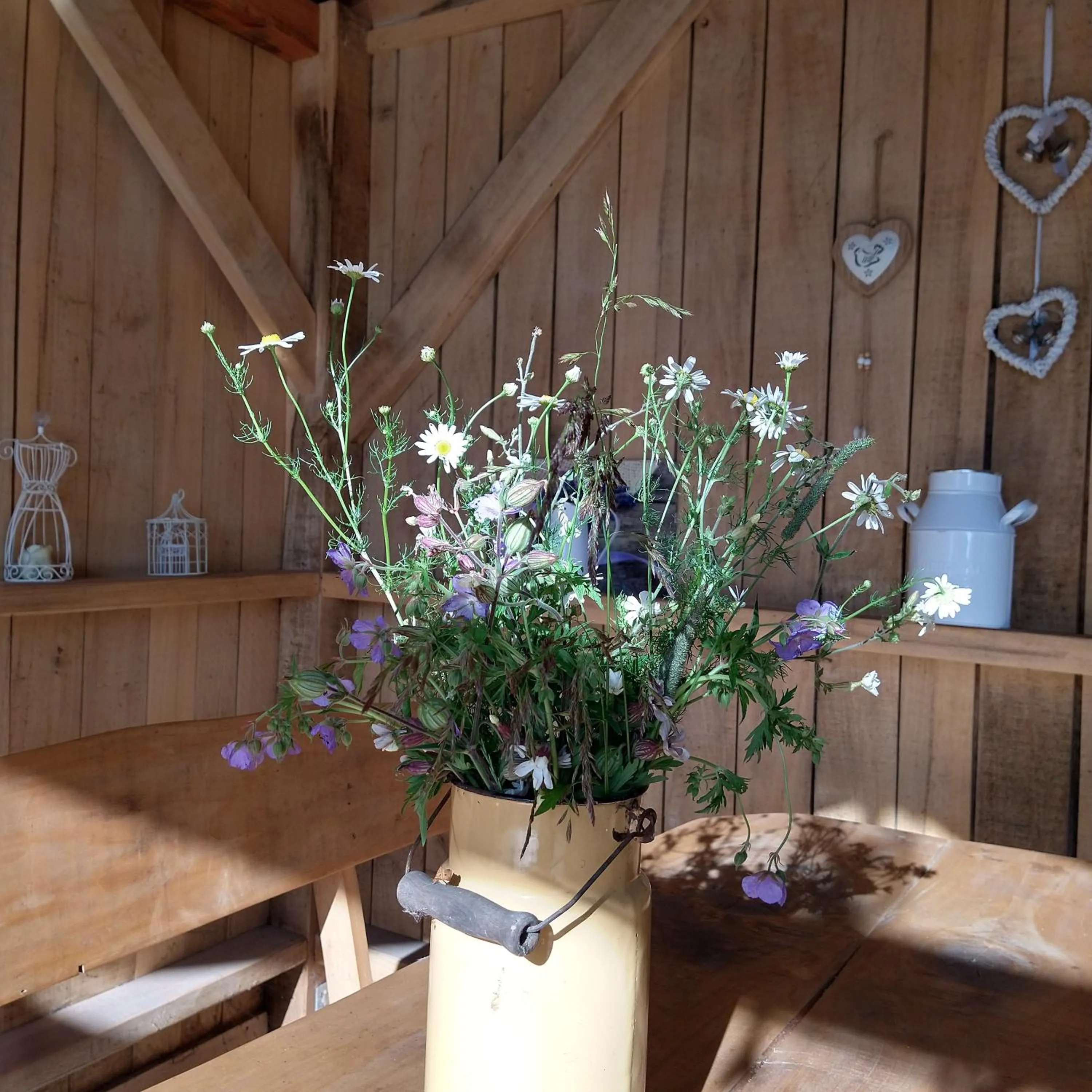 Balcony/Terrace in Agroturystyka Cold Sea