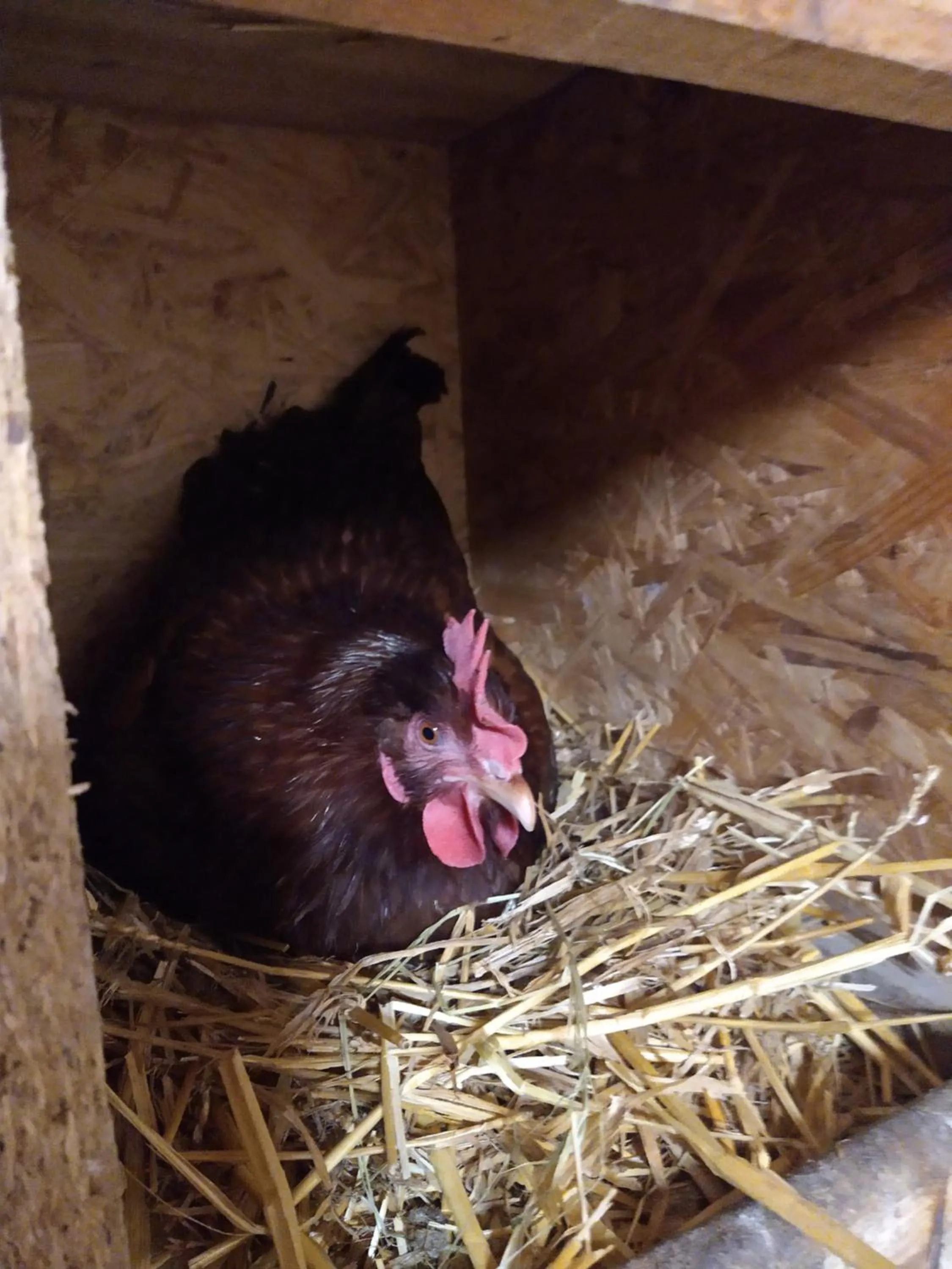 Agroturystyka Cold Sea