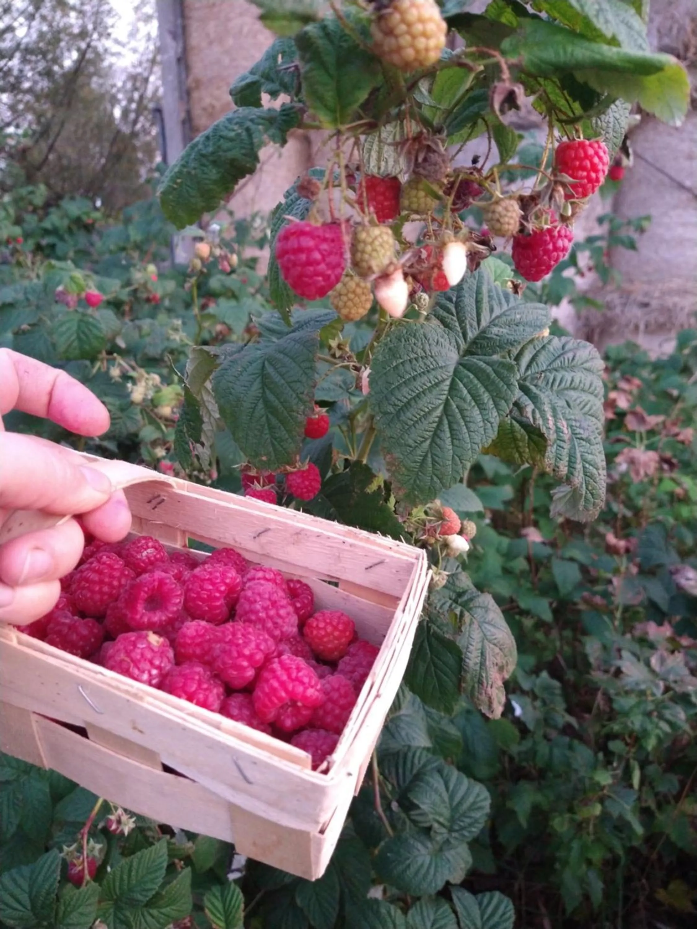 Agroturystyka Cold Sea