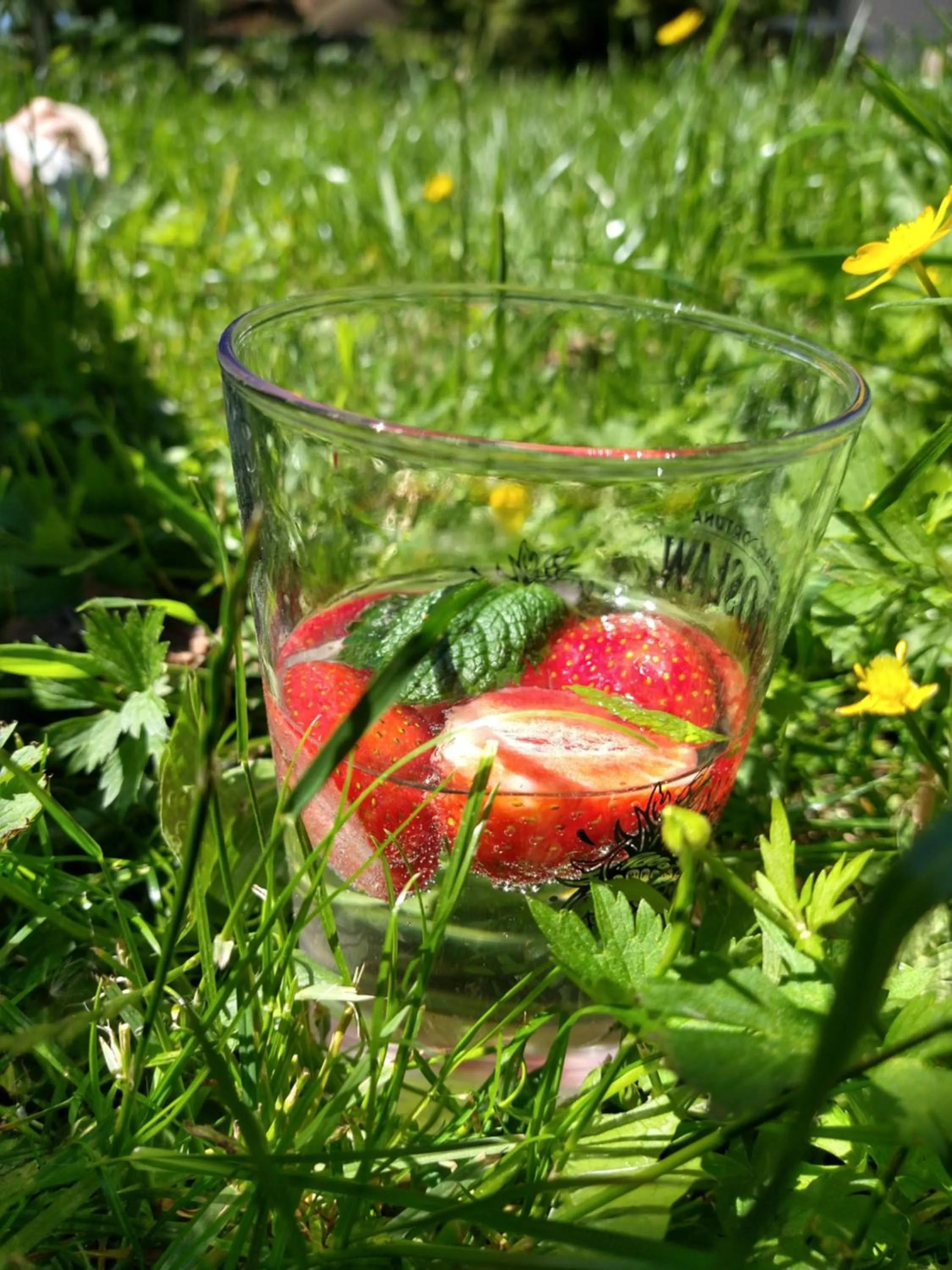 Garden in Agroturystyka Cold Sea
